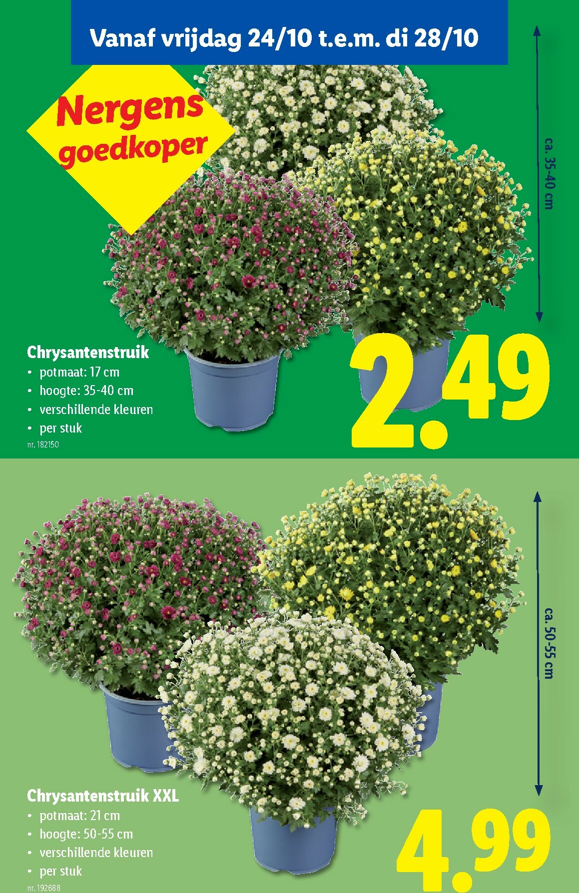 lidl - De Lidl folder geldig vanaf 22/10 t/m 28/10 - page: 57 lidl - De Lidl folder geldig vanaf 22/10 t/m 28/10 - page: 57