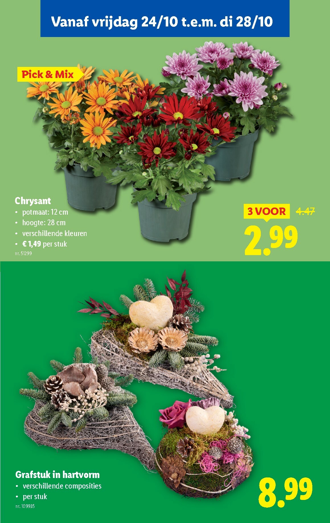lidl - De Lidl folder geldig vanaf 22/10 t/m 28/10 - page: 56 lidl - De Lidl folder geldig vanaf 22/10 t/m 28/10 - page: 56