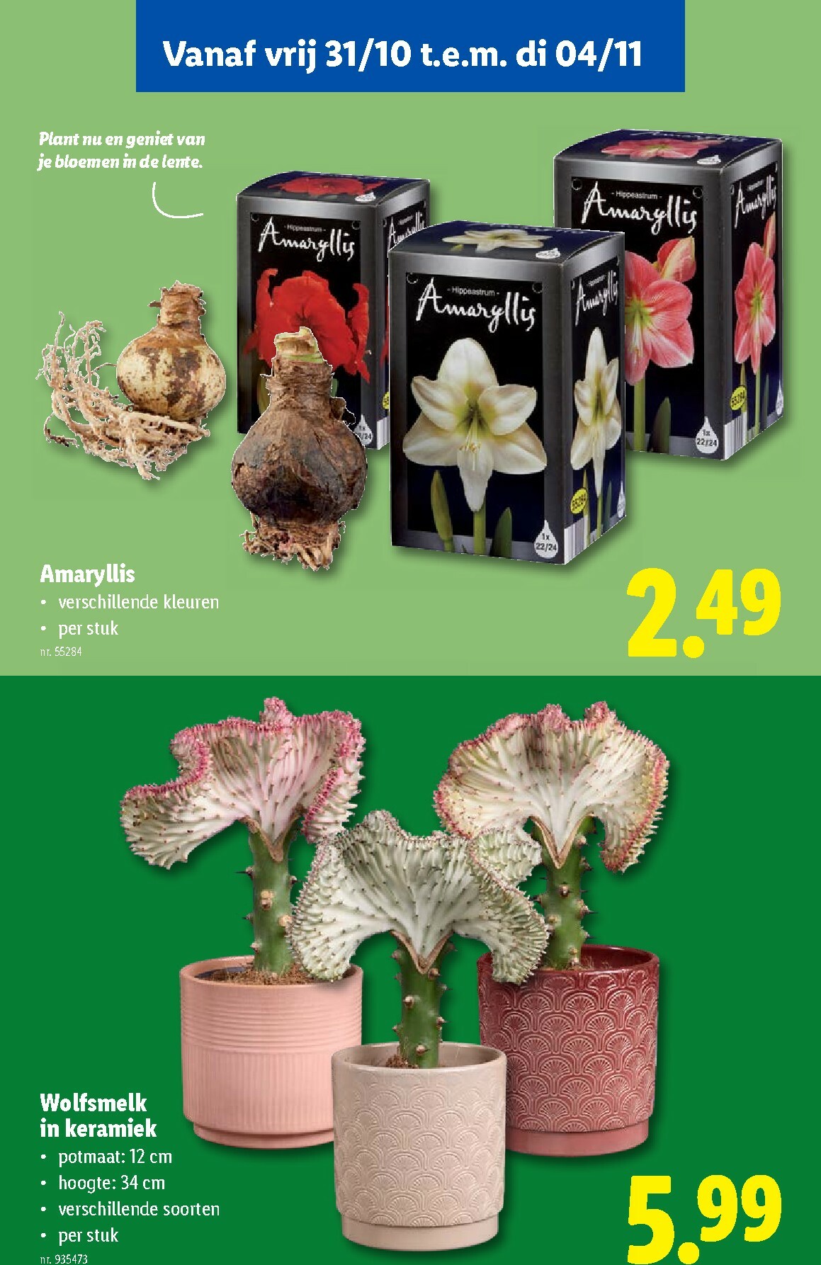 lidl - De Lidl folder geldig vanaf 29/10 t/m 04/11 - page: 55