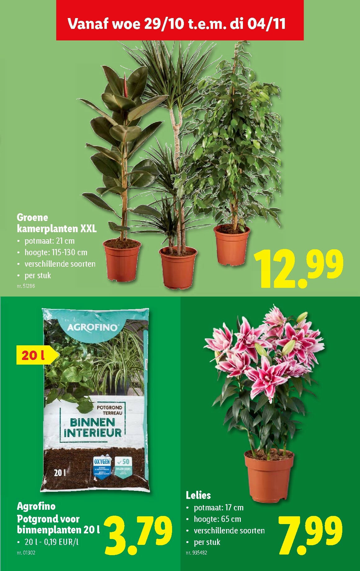 lidl - De Lidl folder geldig vanaf 29/10 t/m 04/11 - page: 33