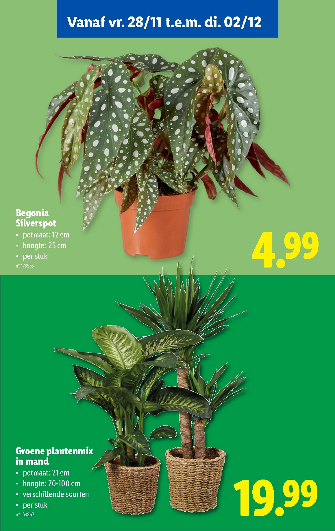 lidl - De Lidl folder geldig vanaf 24/11 t/m 01/12 - page: 47