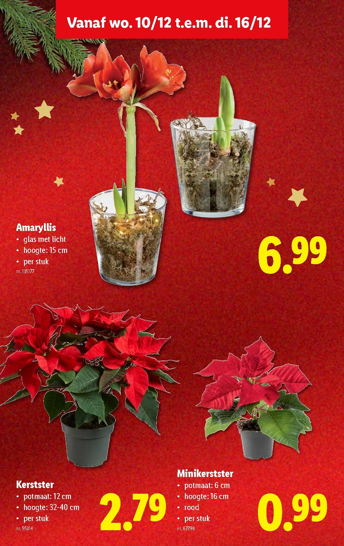 lidl - De Lidl folder geldig vanaf 10/12 t/m 16/12 - page: 35