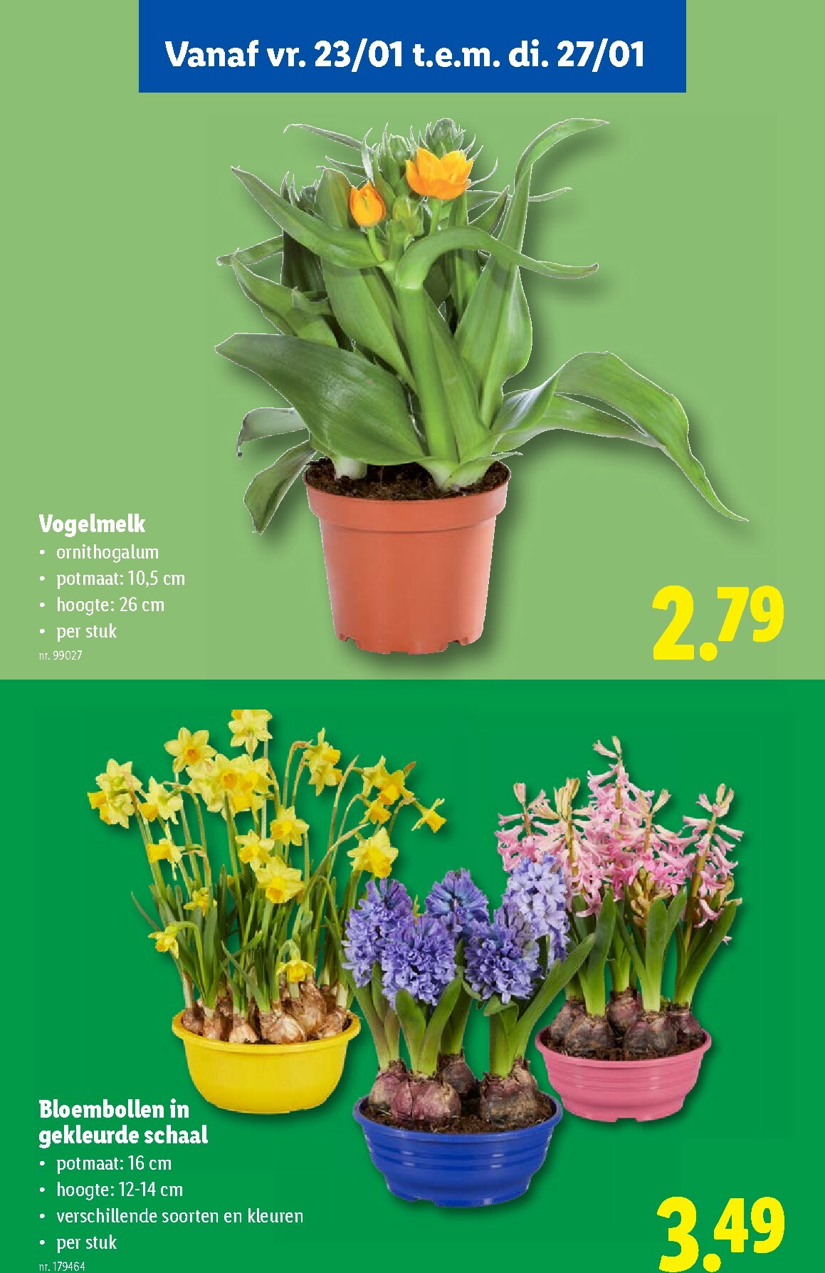 lidl - De Lidl folder geldig vanaf 21/01 t/m 27/01 - page: 57