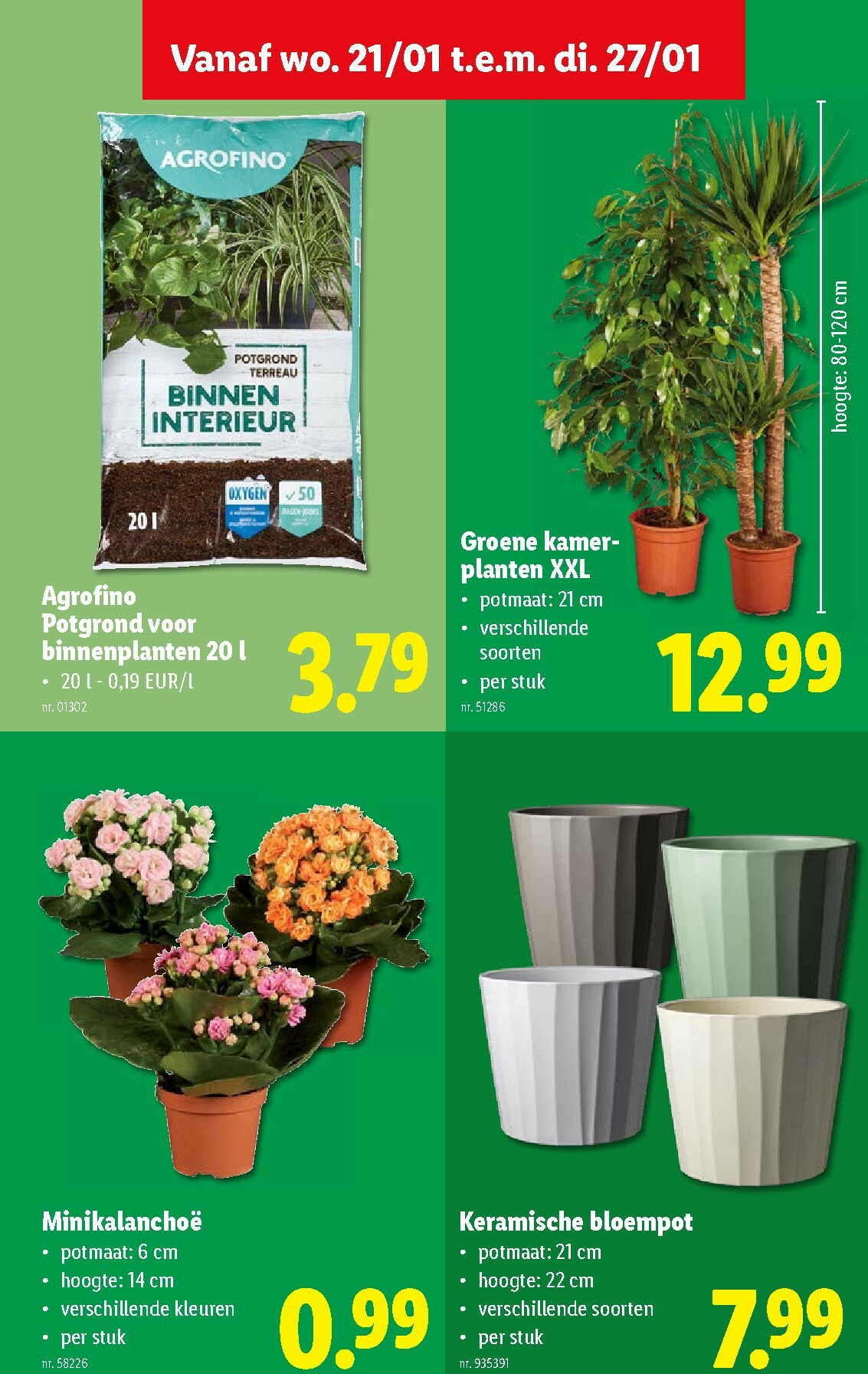 lidl - De Lidl folder geldig vanaf 21/01 t/m 27/01 - page: 36