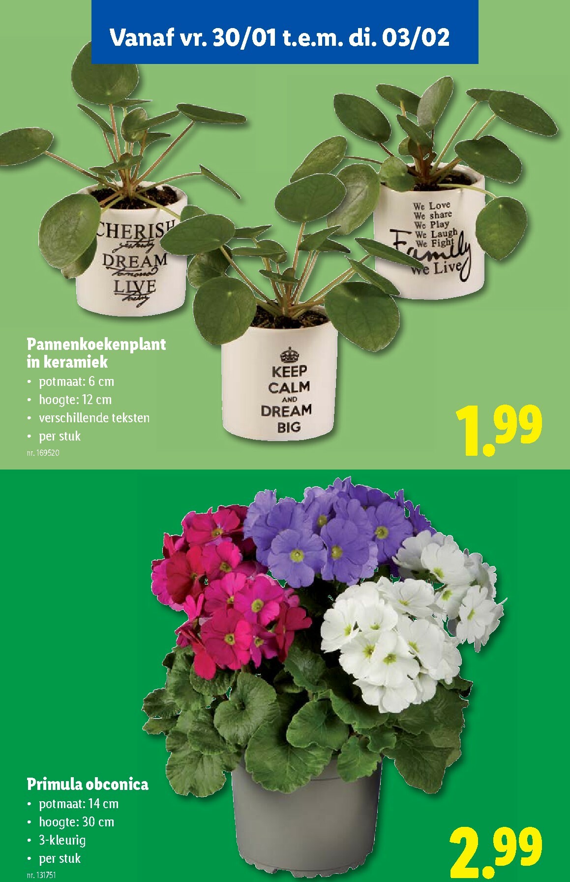 lidl - De Lidl folder geldig vanaf 28/01 t/m 03/02 - page: 47