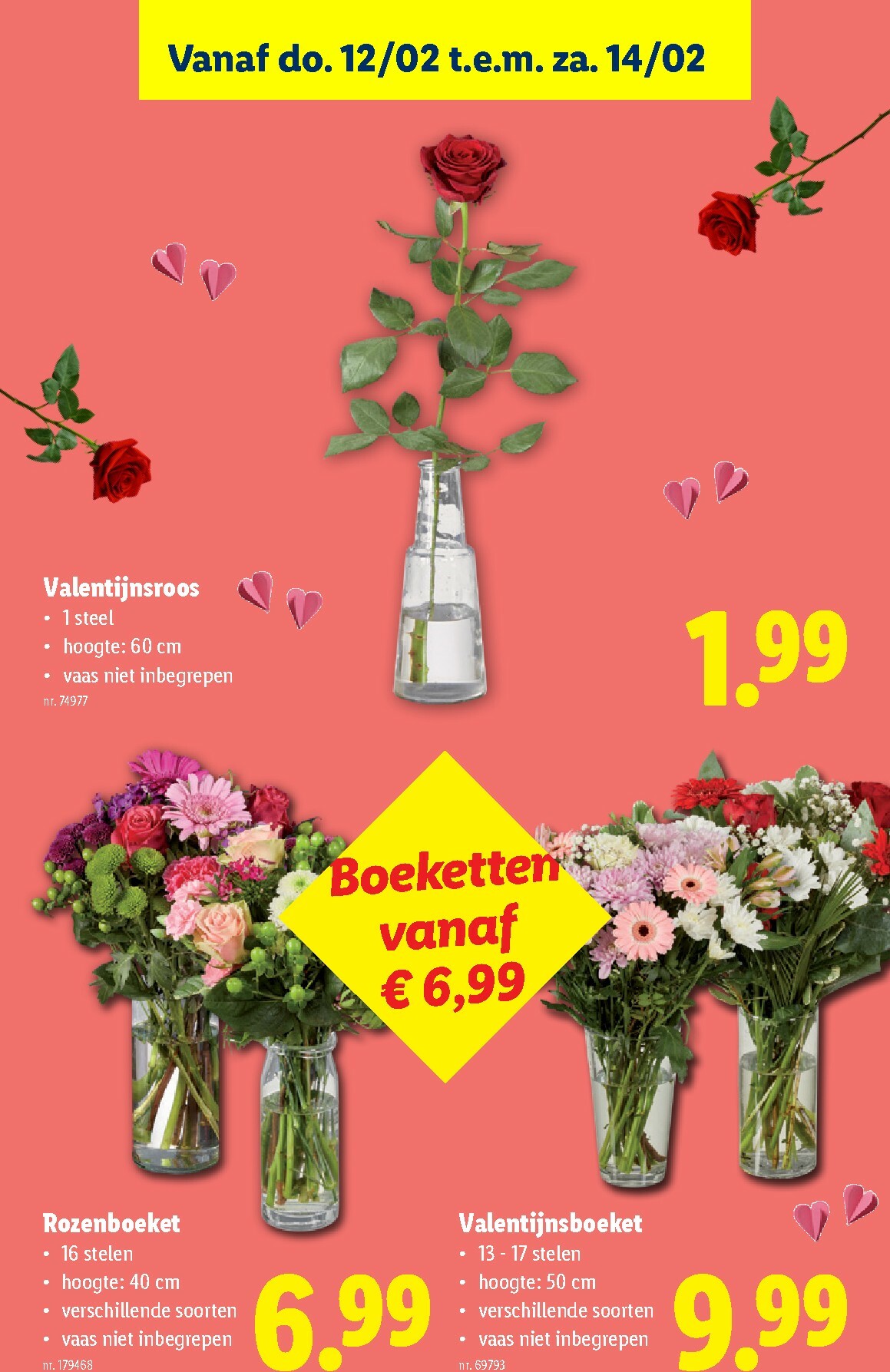 lidl - De Lidl folder geldig vanaf 11/02/2026 t/m 17/02/2026 - page: 34