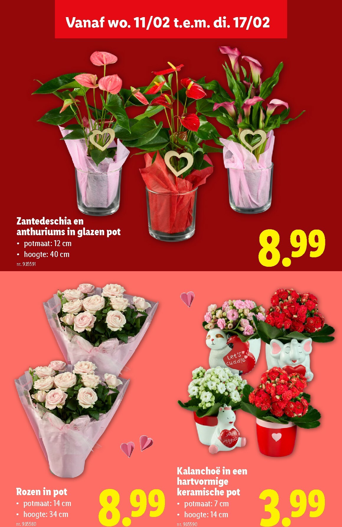 lidl - De Lidl folder geldig vanaf 11/02/2026 t/m 17/02/2026 - page: 33