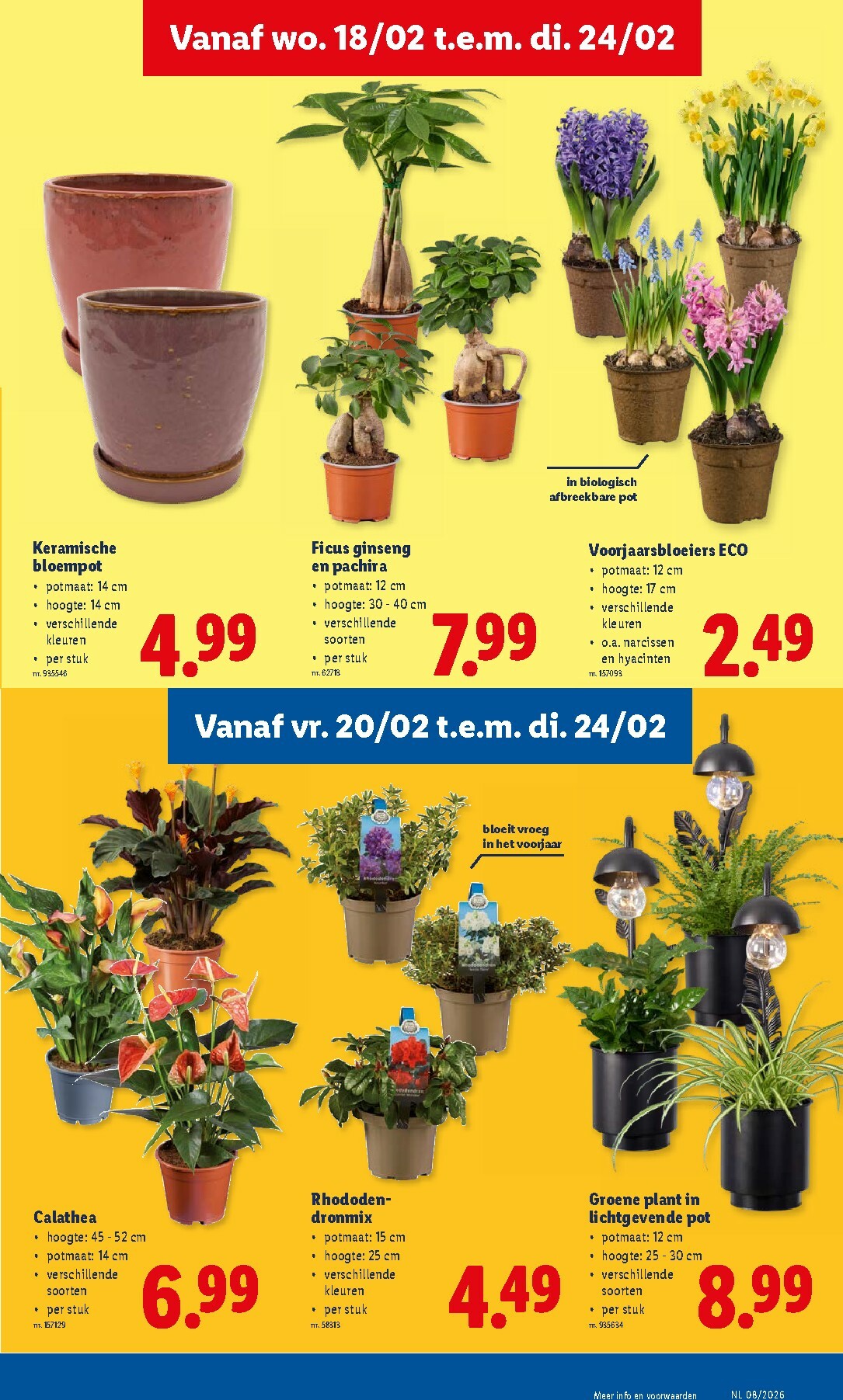 lidl - De Lidl folder geldig vanaf 18/02/2026 t/m 24/02/2026 - page: 19
