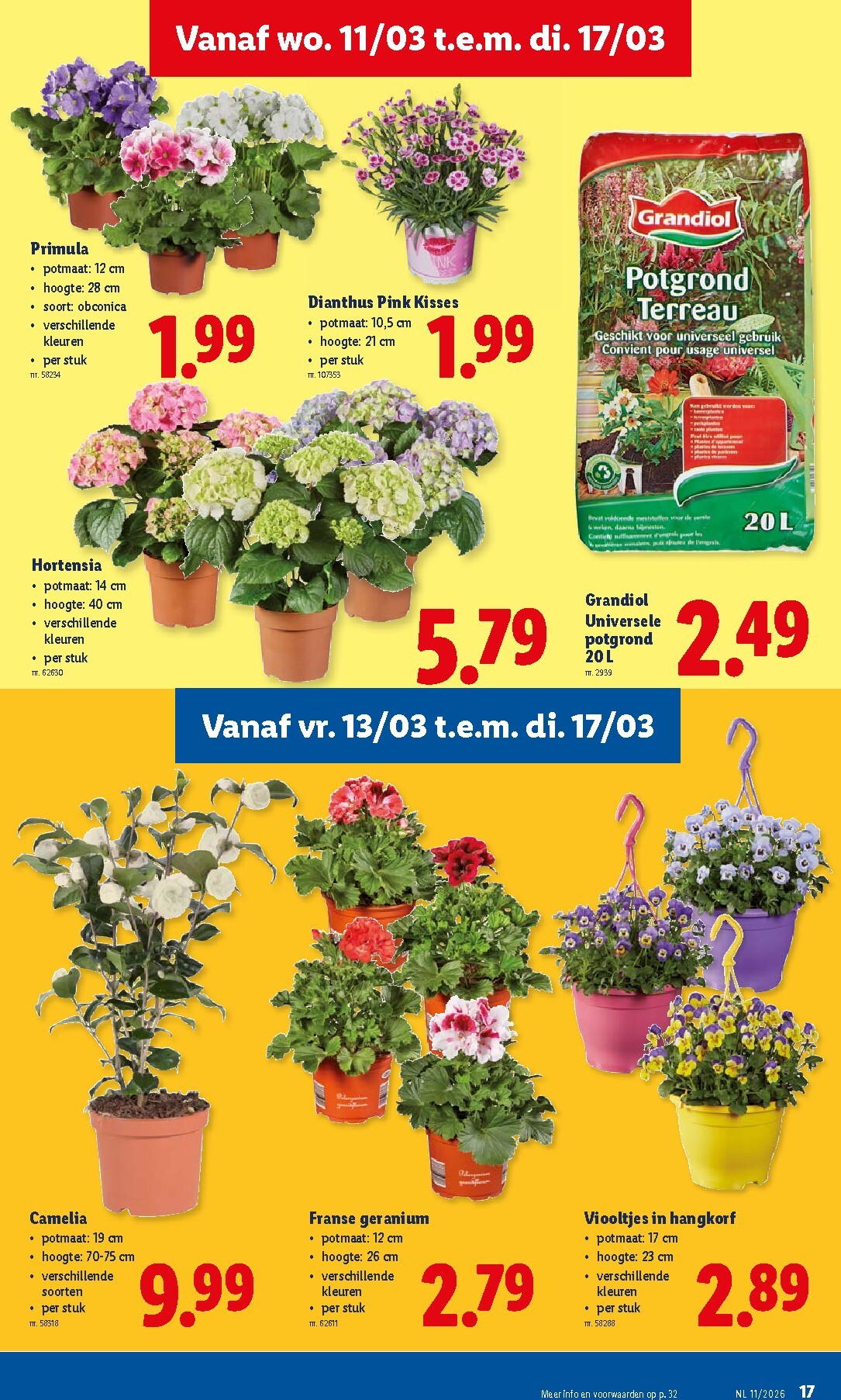 lidl - De Lidl folder geldig vanaf 11/03/2026 t/m 17/03/2026 - page: 17