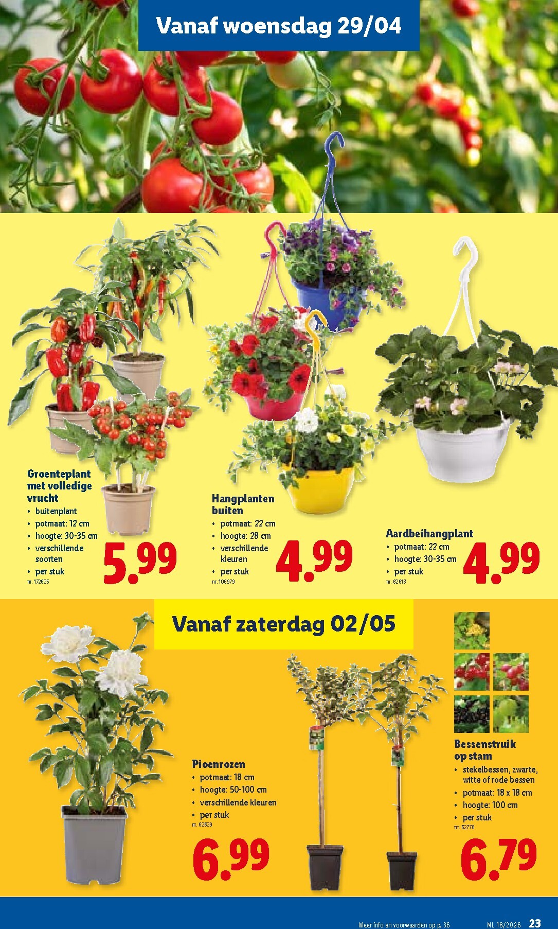 lidl - Lidl folder voor volgende week van maandag 27/04/2026 tot zaterdag 02/05/2026 - page: 23