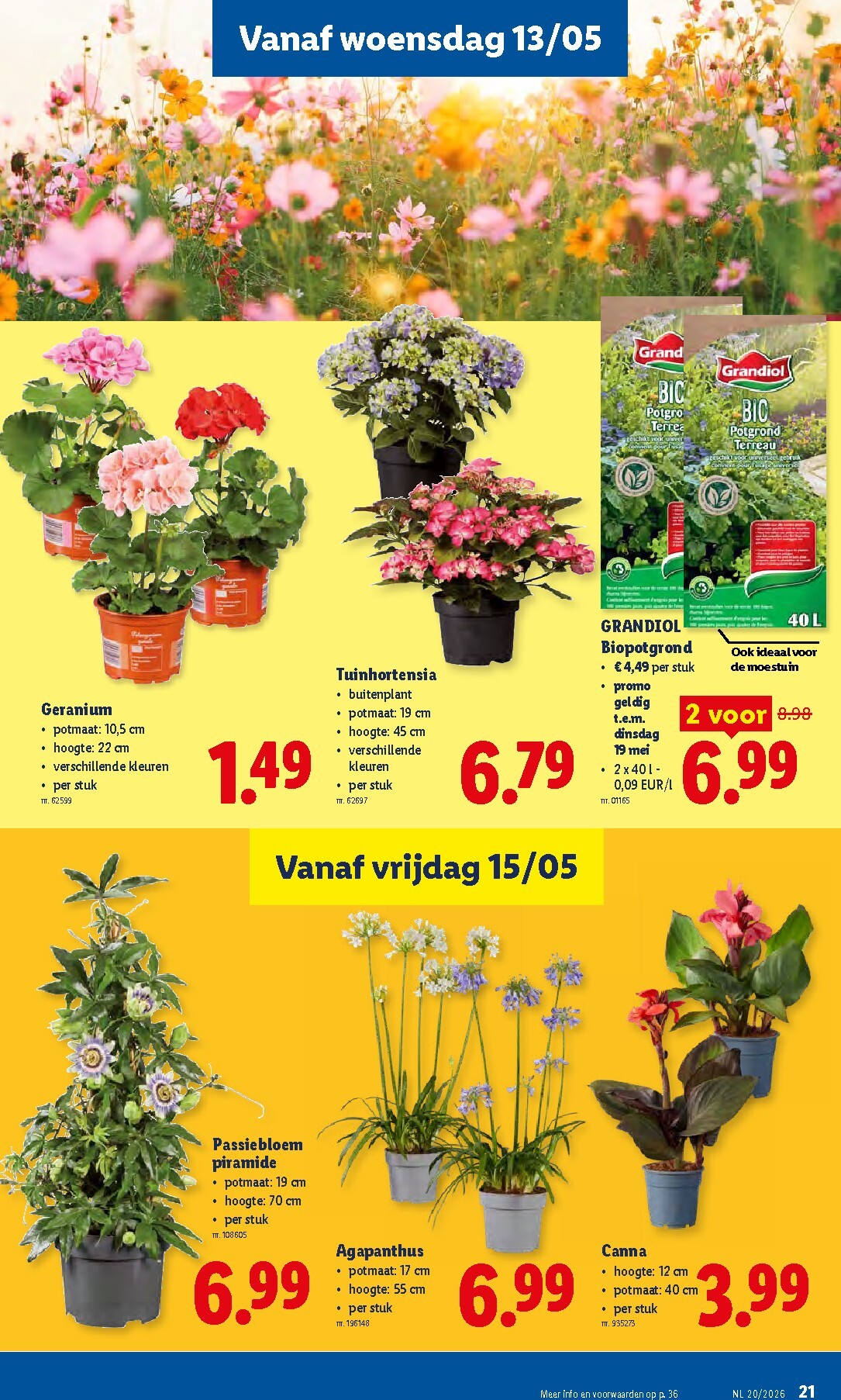lidl - Lidl folder voor volgende week van maandag 11/05/2026 tot zaterdag 16/05/2026 - page: 21