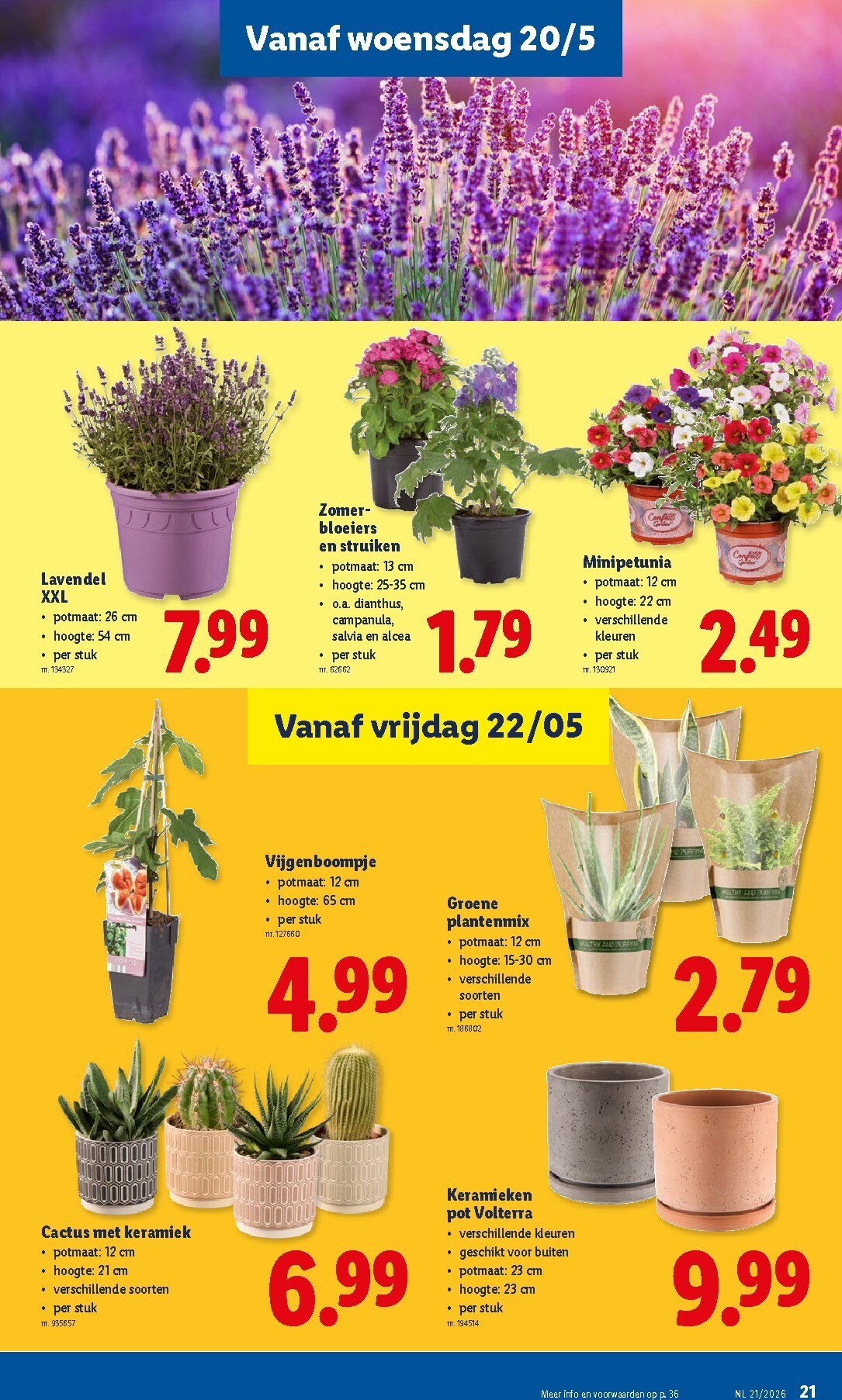lidl - Lidl folder voor volgende week van maandag 18/05/2026 tot zaterdag 23/05/2026 - page: 21