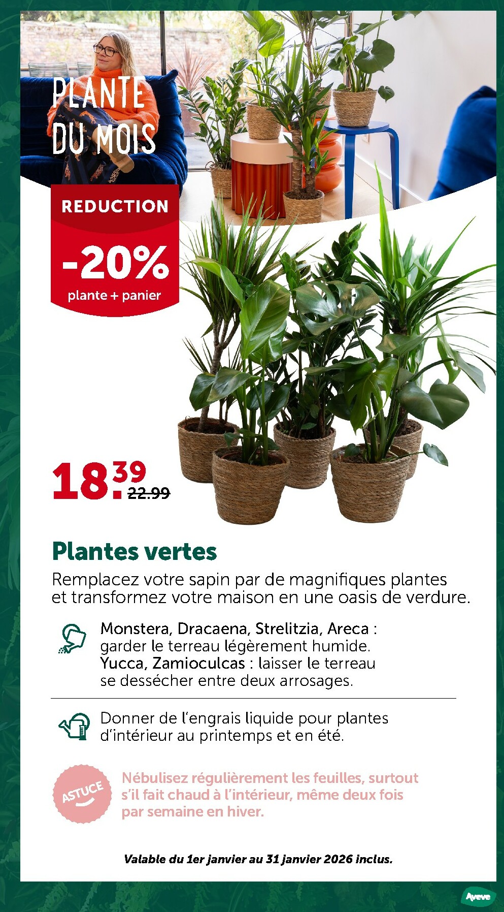 aveve - De Aveve folder geldig vanaf 28/01 t/m 01/02 - page: 12