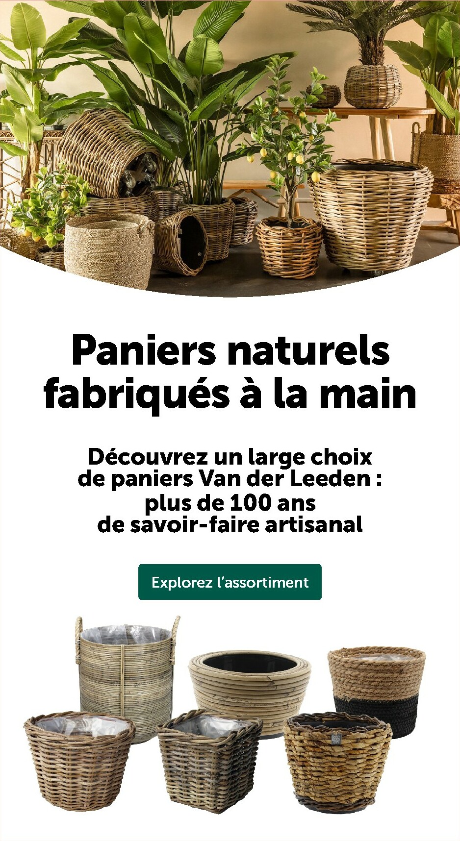 aveve - De Aveve folder geldig vanaf 04/02/2026 t/m 08/02/2026 - page: 10