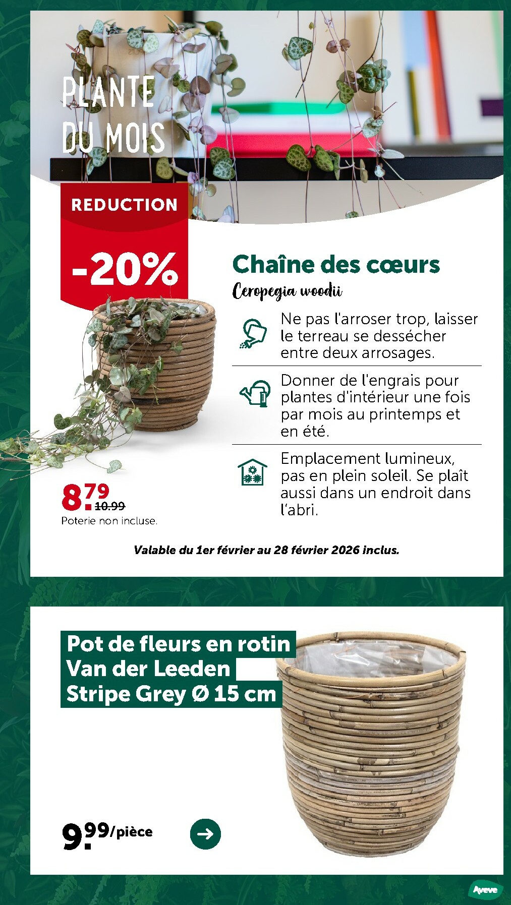 aveve - De Aveve folder geldig vanaf 04/02/2026 t/m 08/02/2026 - page: 8