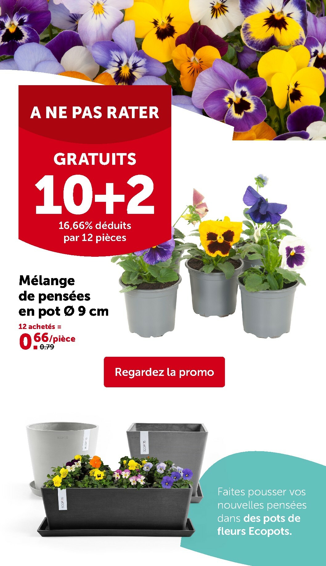 aveve - De Aveve folder geldig vanaf 11/02/2026 t/m 22/02/2026 - page: 9