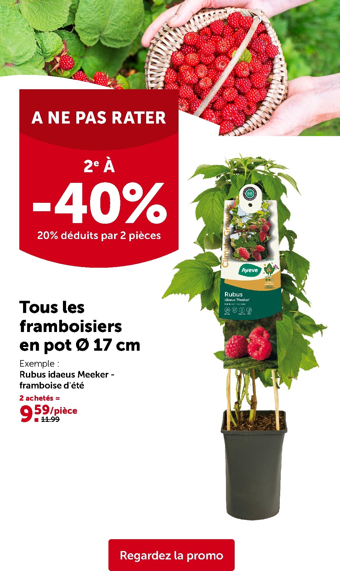 aveve - De Aveve folder geldig vanaf 11/03/2026 t/m 22/03/2026 - page: 3