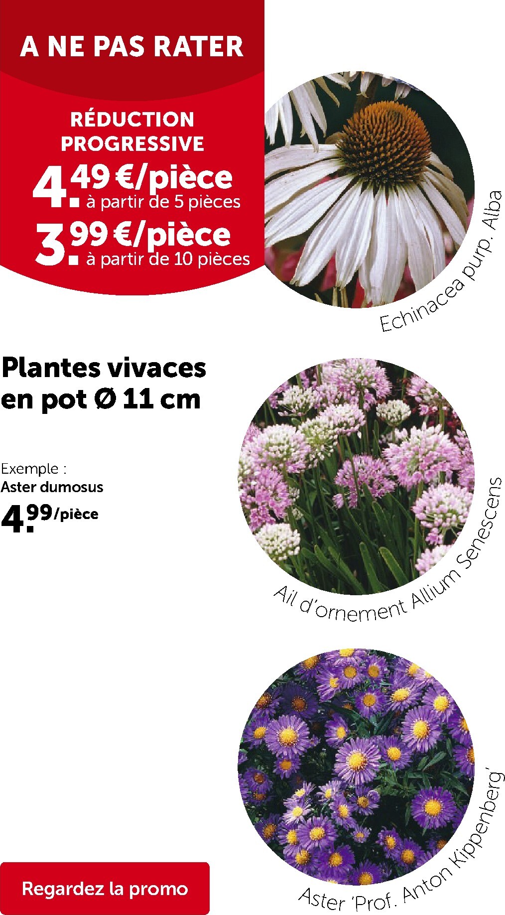 aveve - Toekomstige Aveve folder geldig van woensdag 08/04/2026 tot zondag 19/04/2026 - page: 8