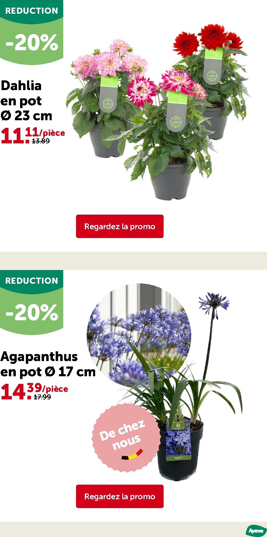 aveve - Huidige Aveve folder geldig van woensdag 22/04/2026 tot zondag 03/05/2026 - page: 15