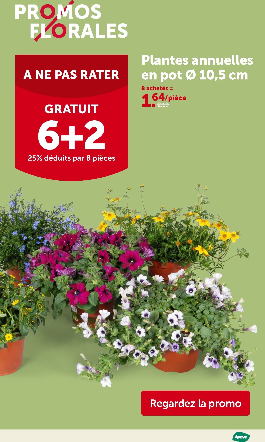 aveve - Toekomstige Aveve folder geldig van woensdag 06/05/2026 tot zondag 17/05/2026 - page: 2
