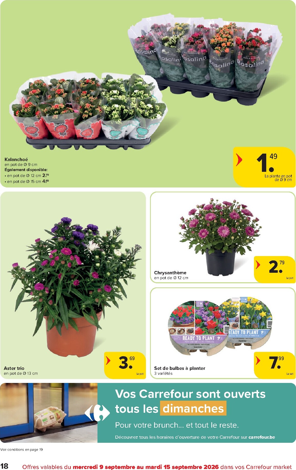 carrefour - Carrefour - Market Promotions de la semaine folder voor volgende week van woensdag 09/09/2026 tot dinsdag 15/09/2026 - page: 18