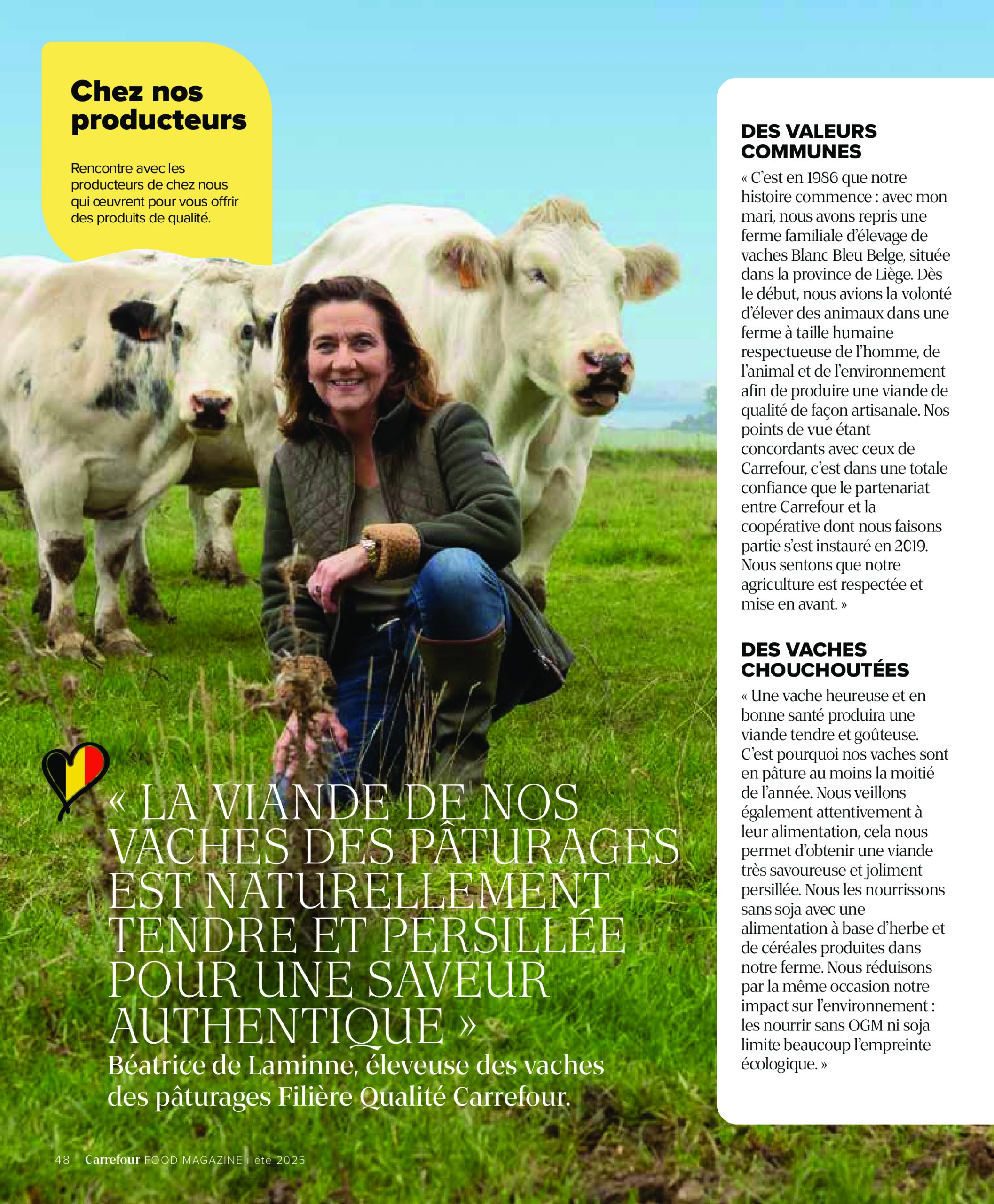 carrefour - Carrefour - Un été à volonté folder geldig vanaf 17/07 - 28/08 - page: 48