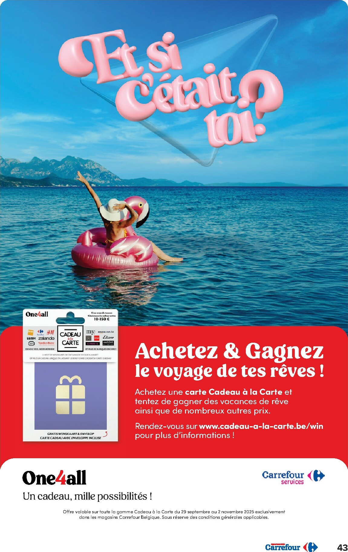 carrefour - Carrefour - Hypermarchés folder geldig vanaf 08/10 - 20/10 - page: 43