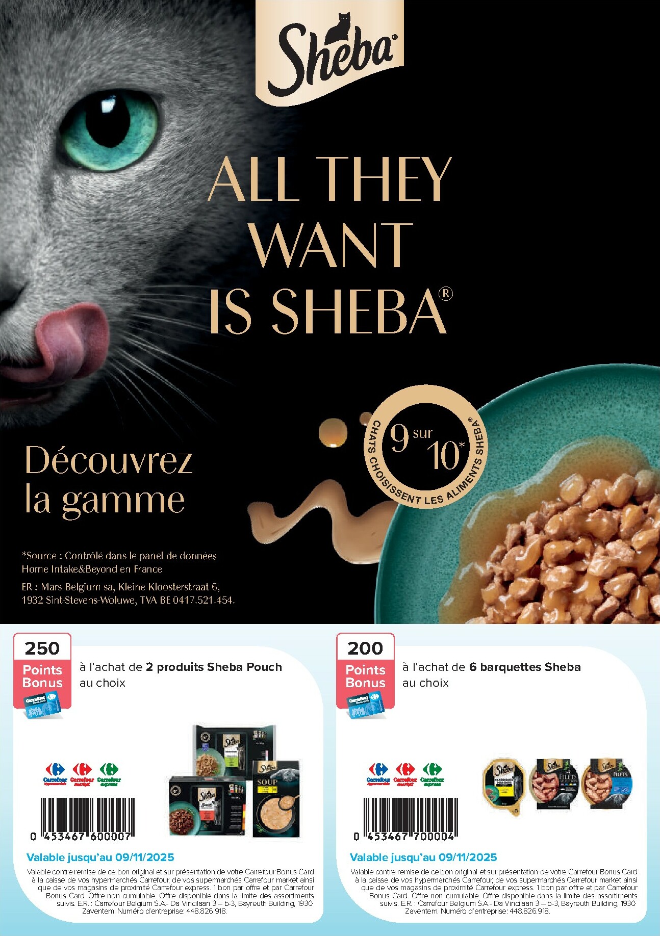 carrefour - Carrefour - E-Coupons folder geldig vanaf 13/10 - 09/11 - page: 8