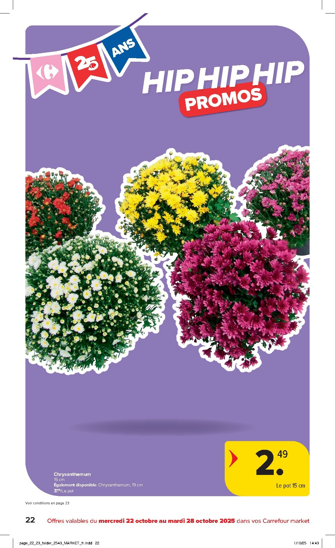 carrefour - De Carrefour Market folder geldig vanaf 22/10 t/m 28/10 - page: 22