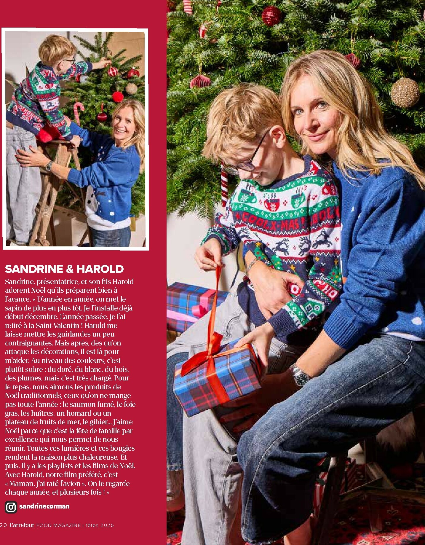 carrefour - De Carrefour - Food Magazine folder geldig vanaf 21/11 t/m 15/01 - page: 20