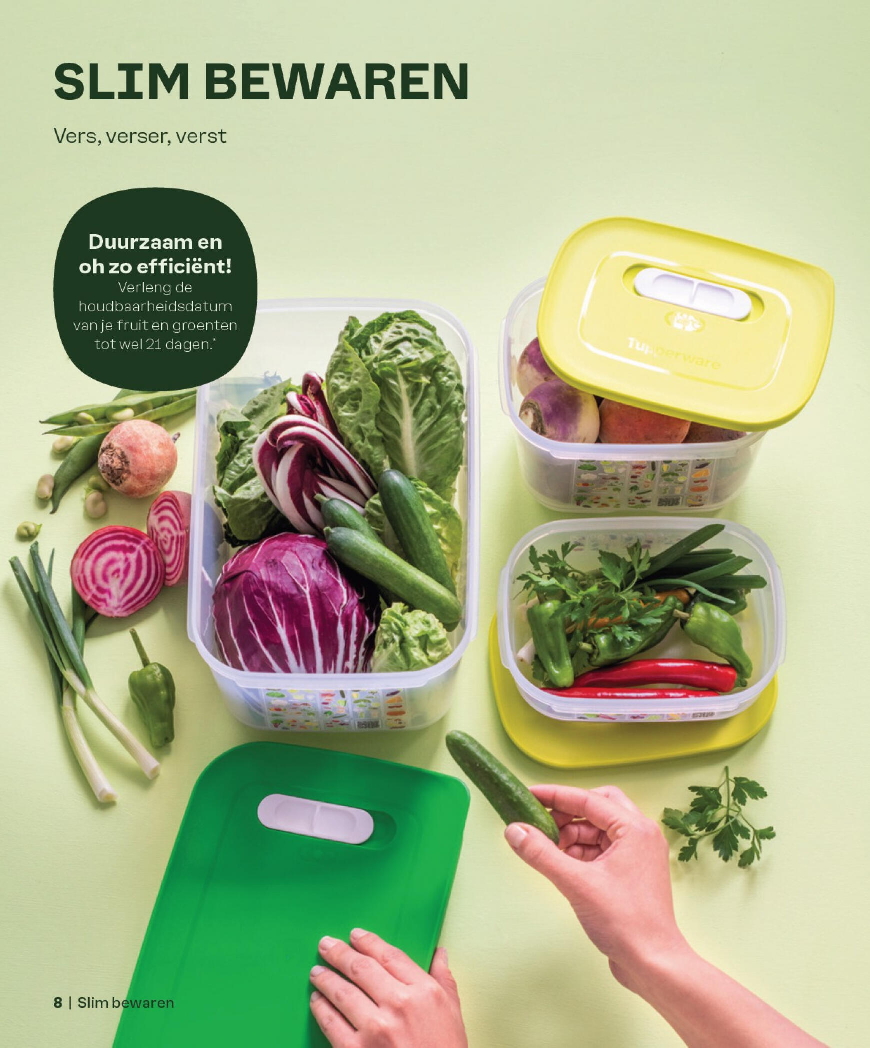 tupperware - Tupperware - Catalogus Lente/Zomer 2024 geldig vanaf 15.03.2024 - page: 8