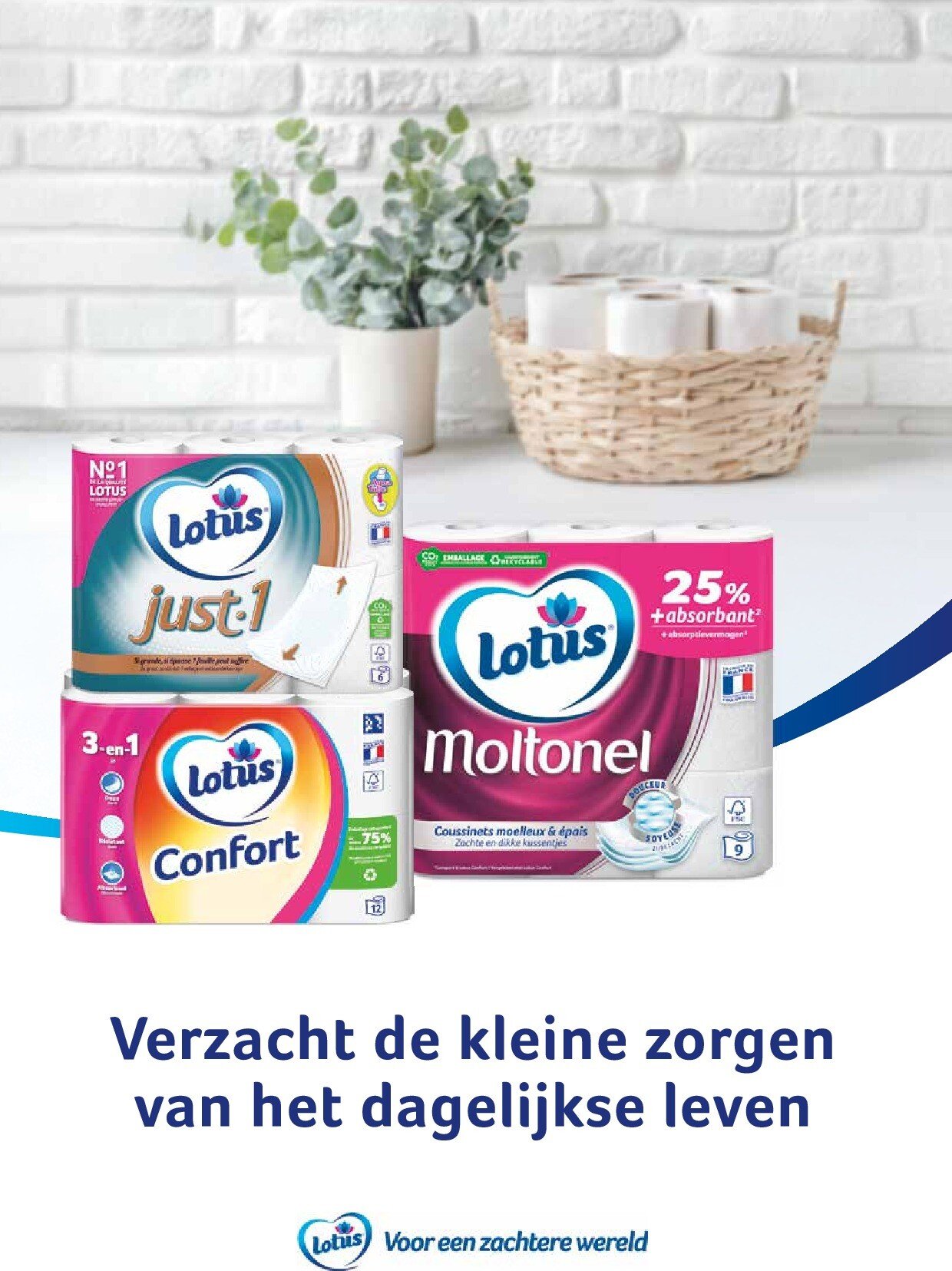 alvo - Alvo - Artisjok folder geldig vanaf 01/10 - 30/11 - page: 74
