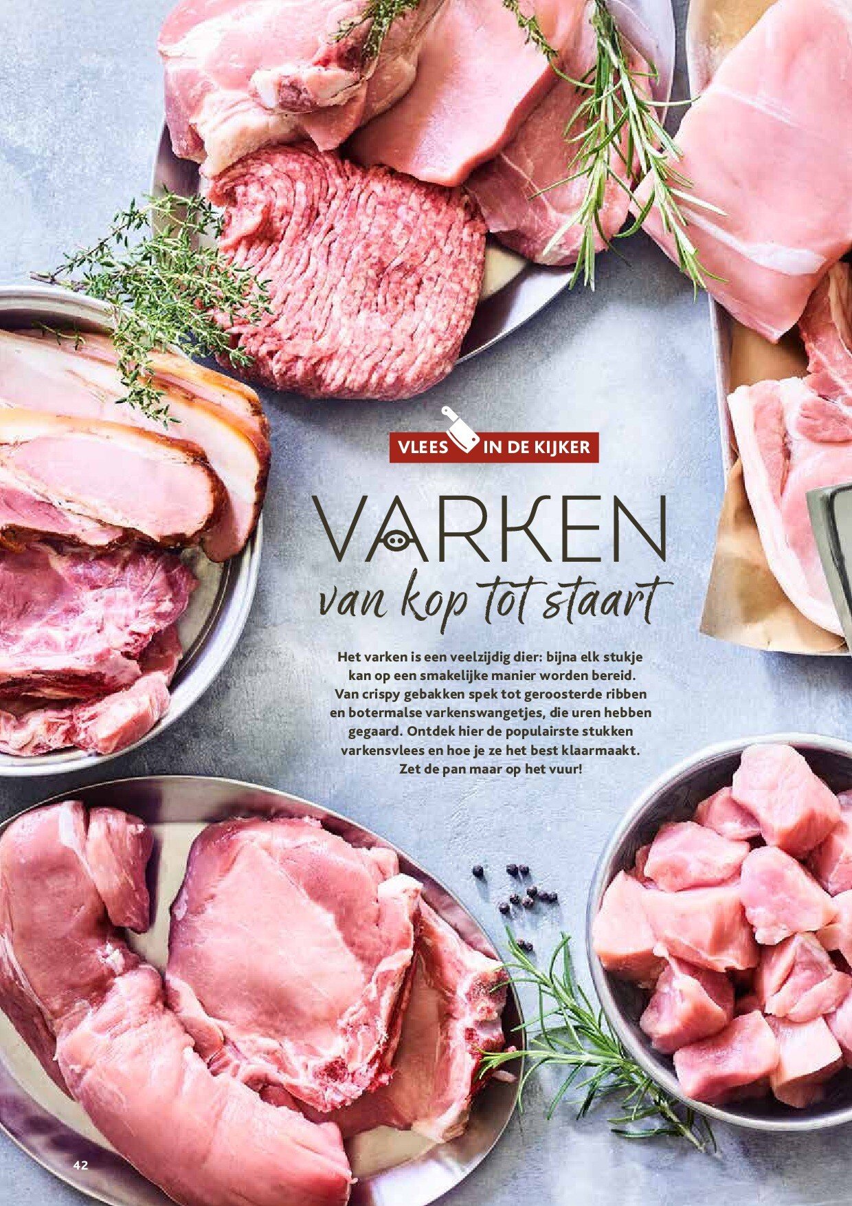 alvo - Alvo - Artisjok folder geldig vanaf 01/10 - 30/11 - page: 42