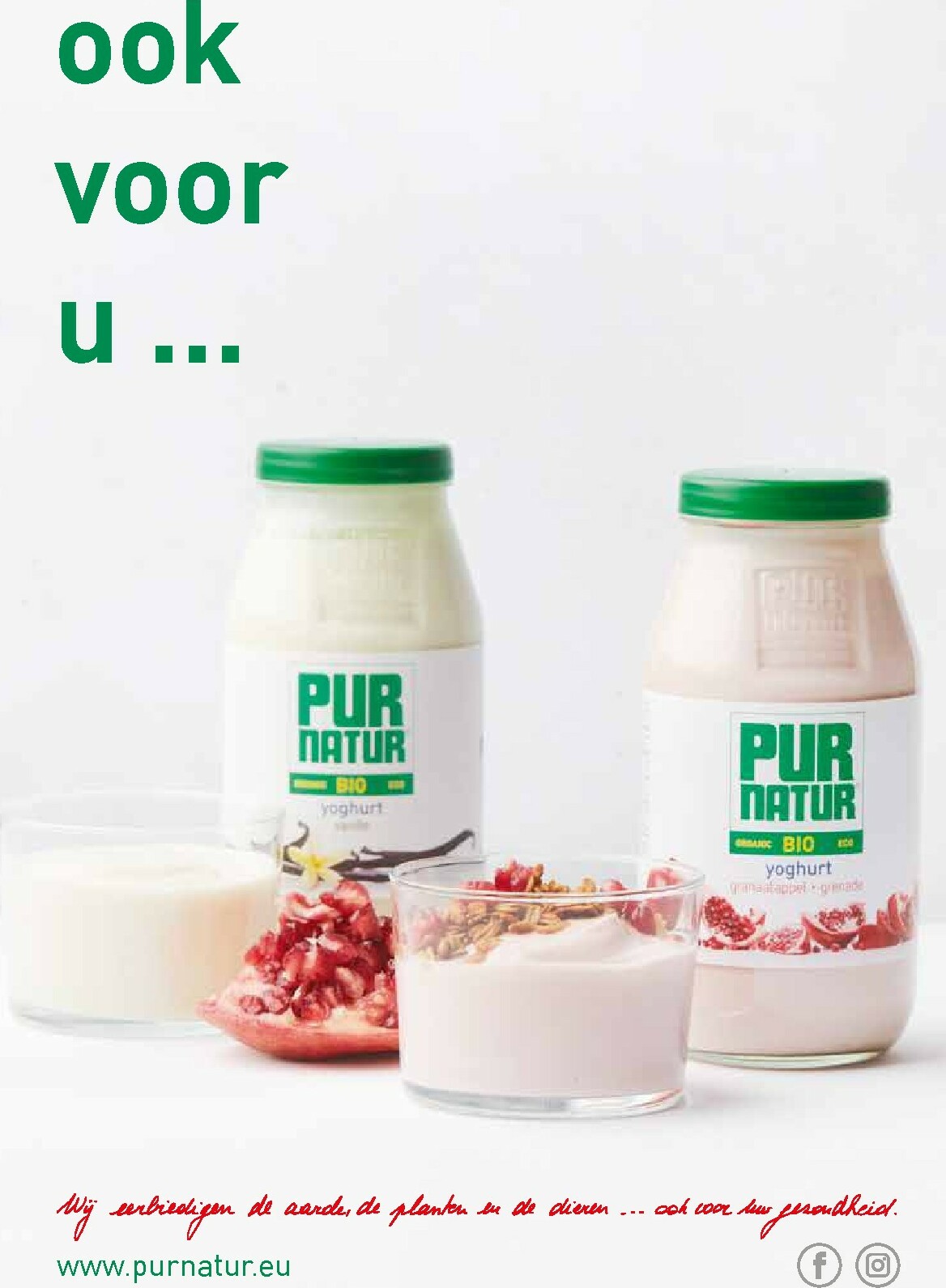 alvo - De Alvo - Gusto folder geldig vanaf 01/01 t/m 31/03 - page: 8