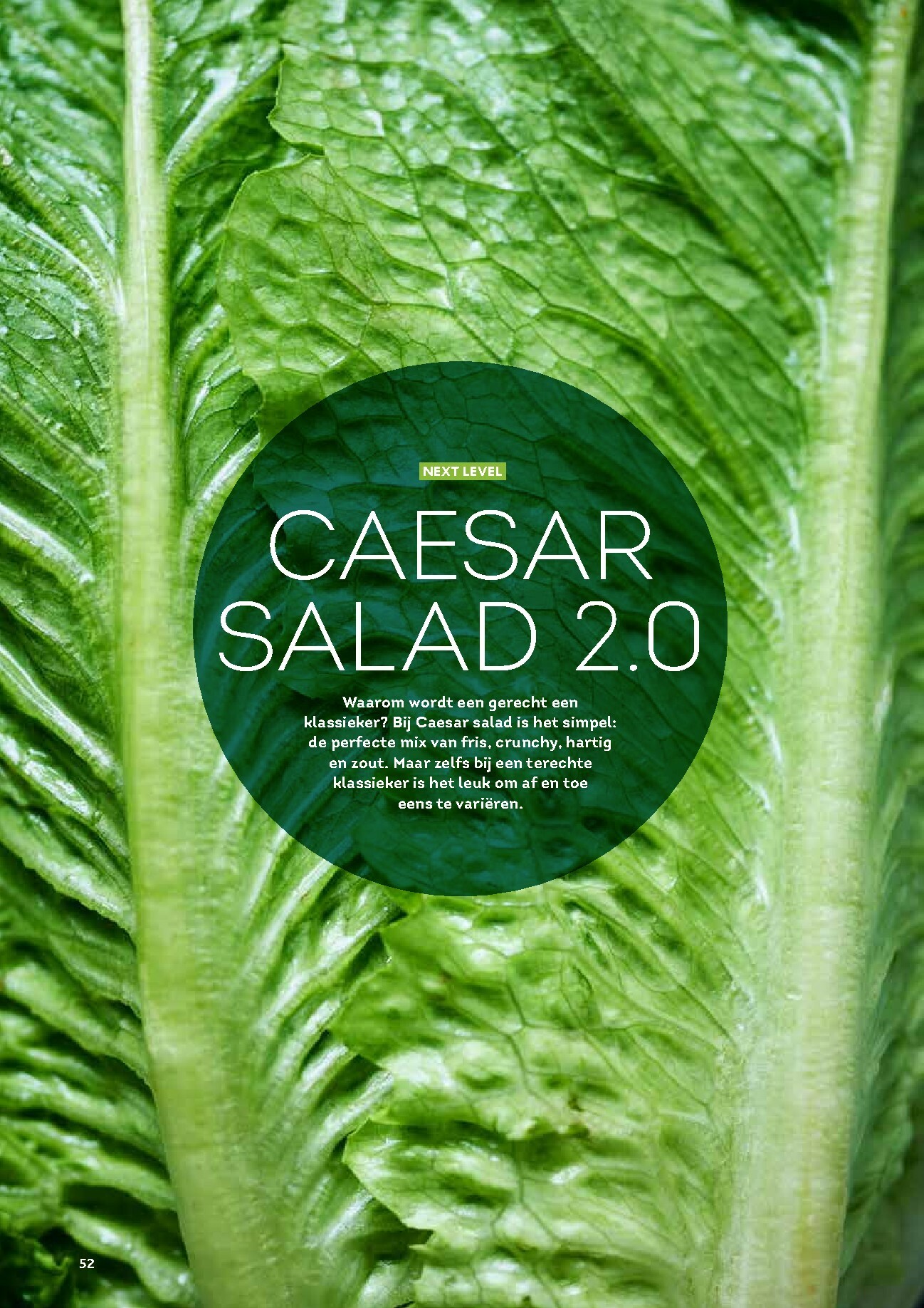 alvo - De Alvo - Gusto folder geldig vanaf 01/01 t/m 31/03 - page: 52