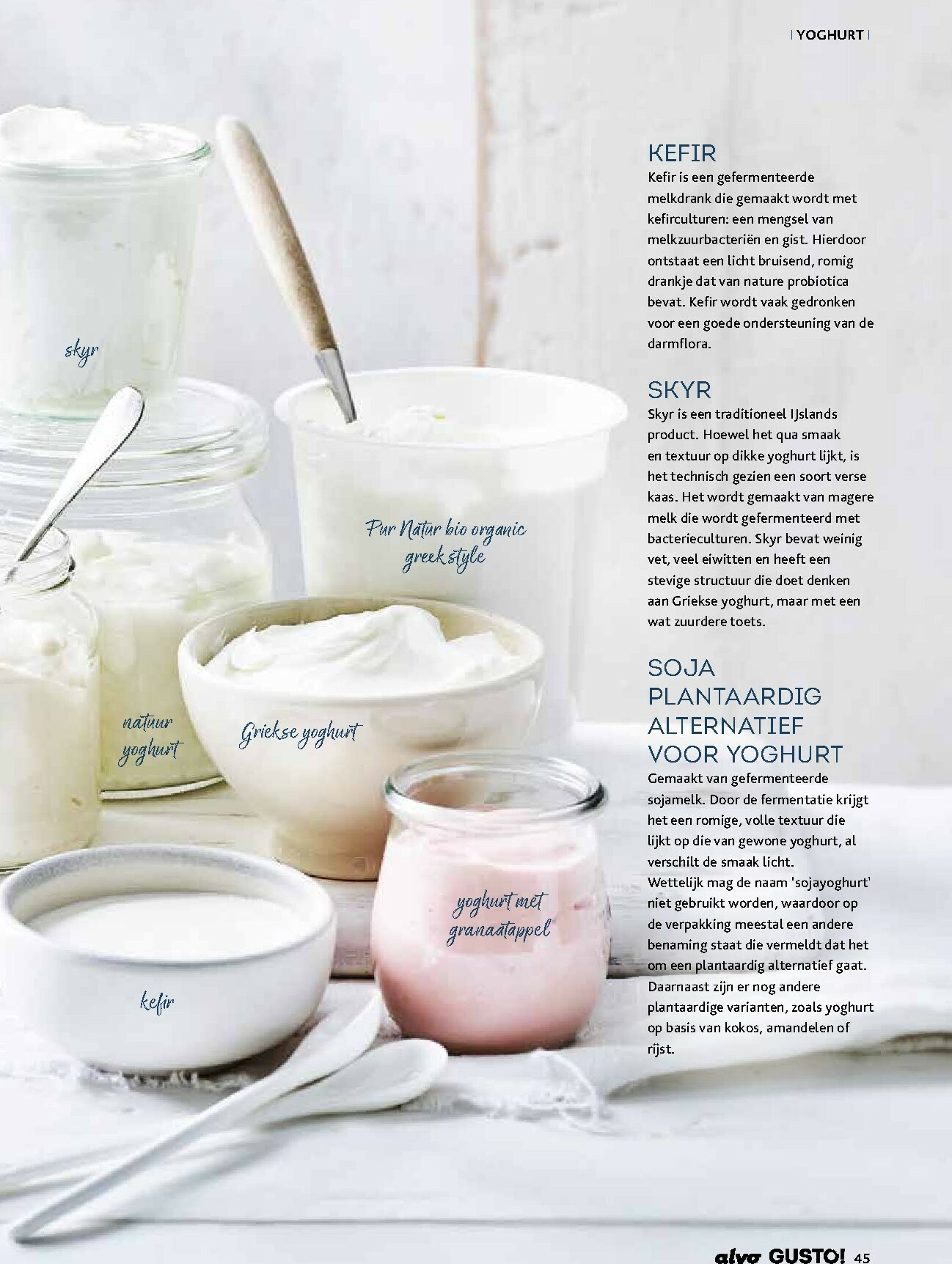 alvo - De Alvo - Gusto folder geldig vanaf 01/01 t/m 31/03 - page: 45