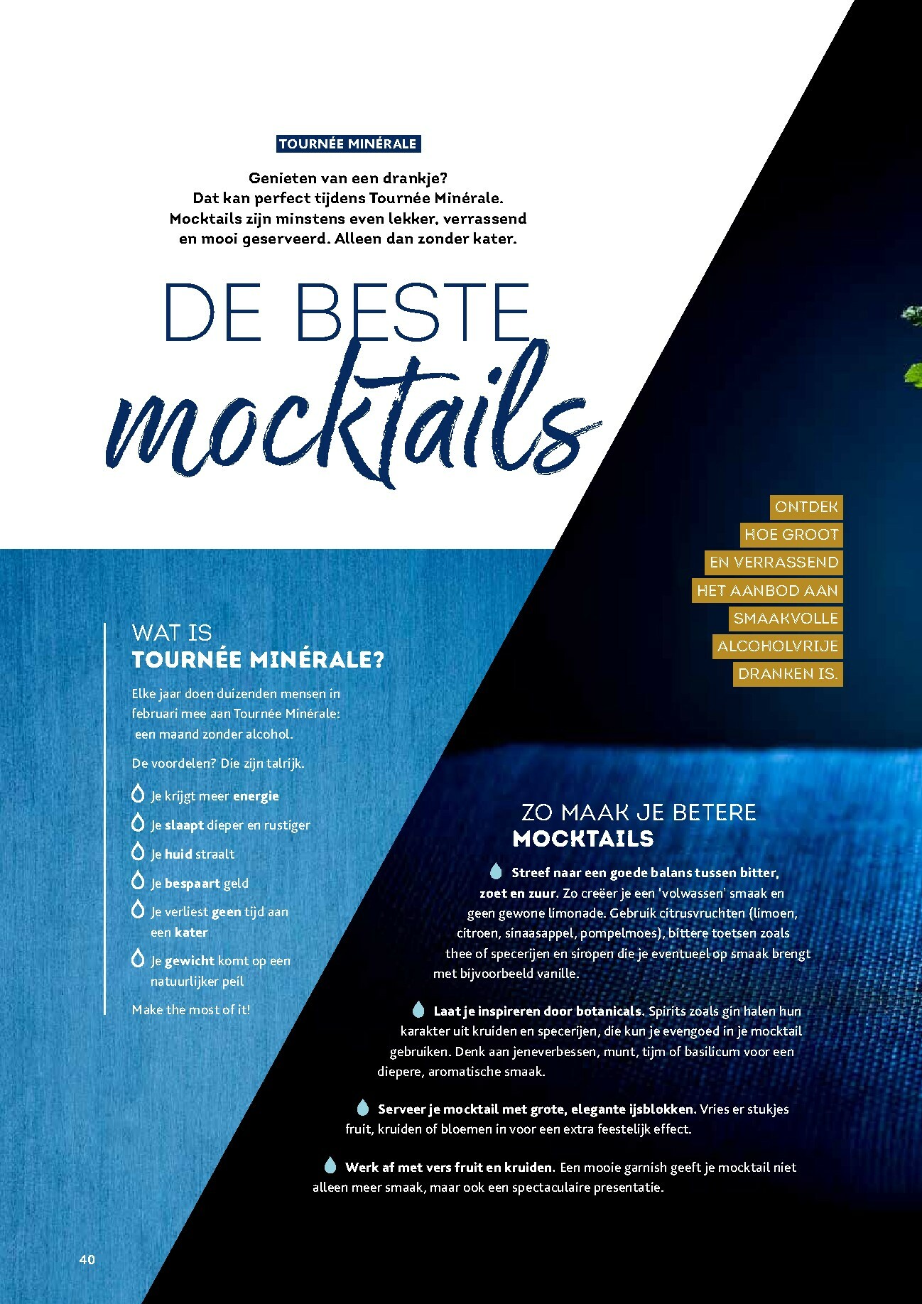 alvo - De Alvo - Gusto folder geldig vanaf 01/01 t/m 31/03 - page: 40