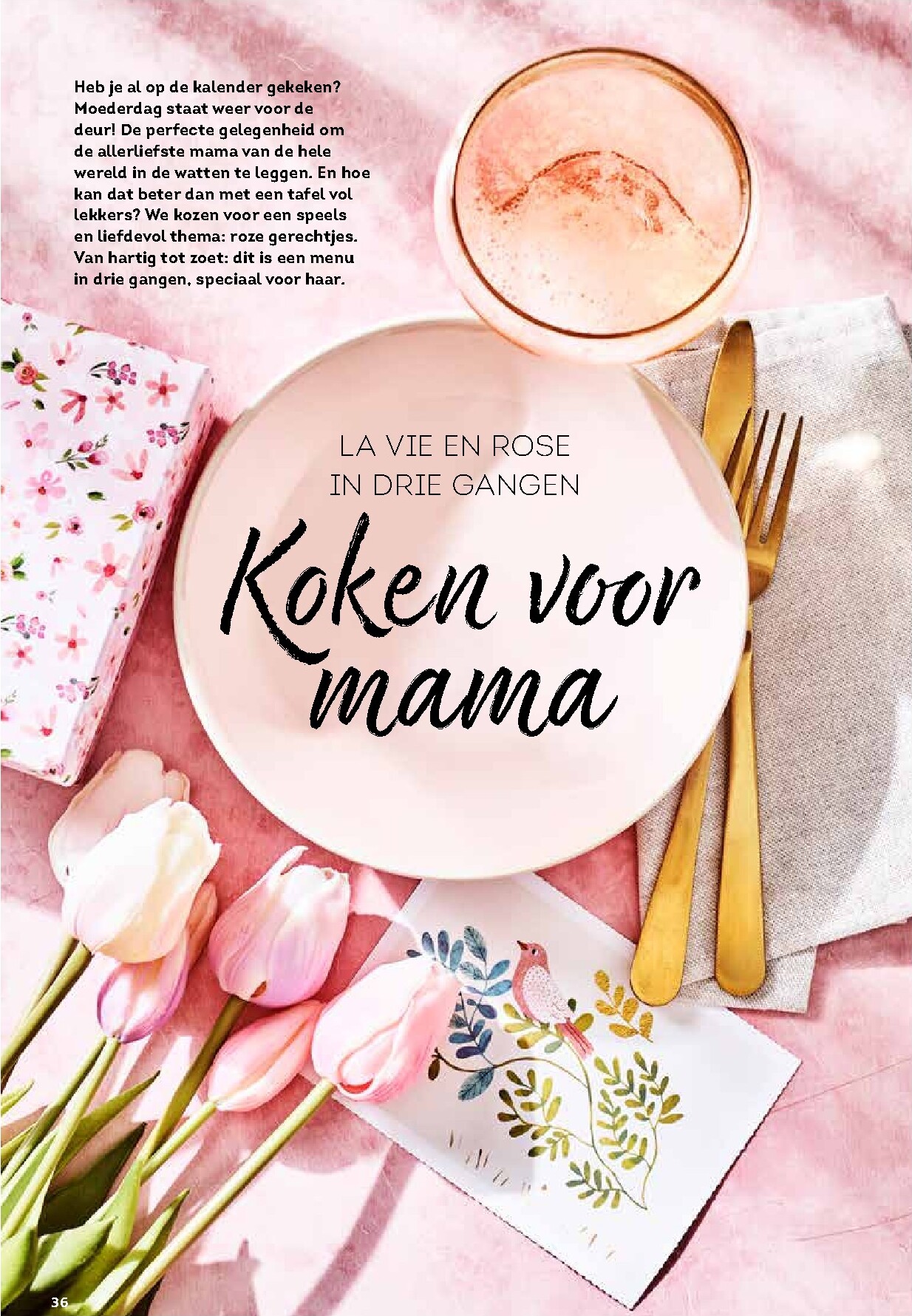 alvo - De Alvo - Gusto folder geldig vanaf 25/03/2026 t/m 31/05/2026 - page: 36