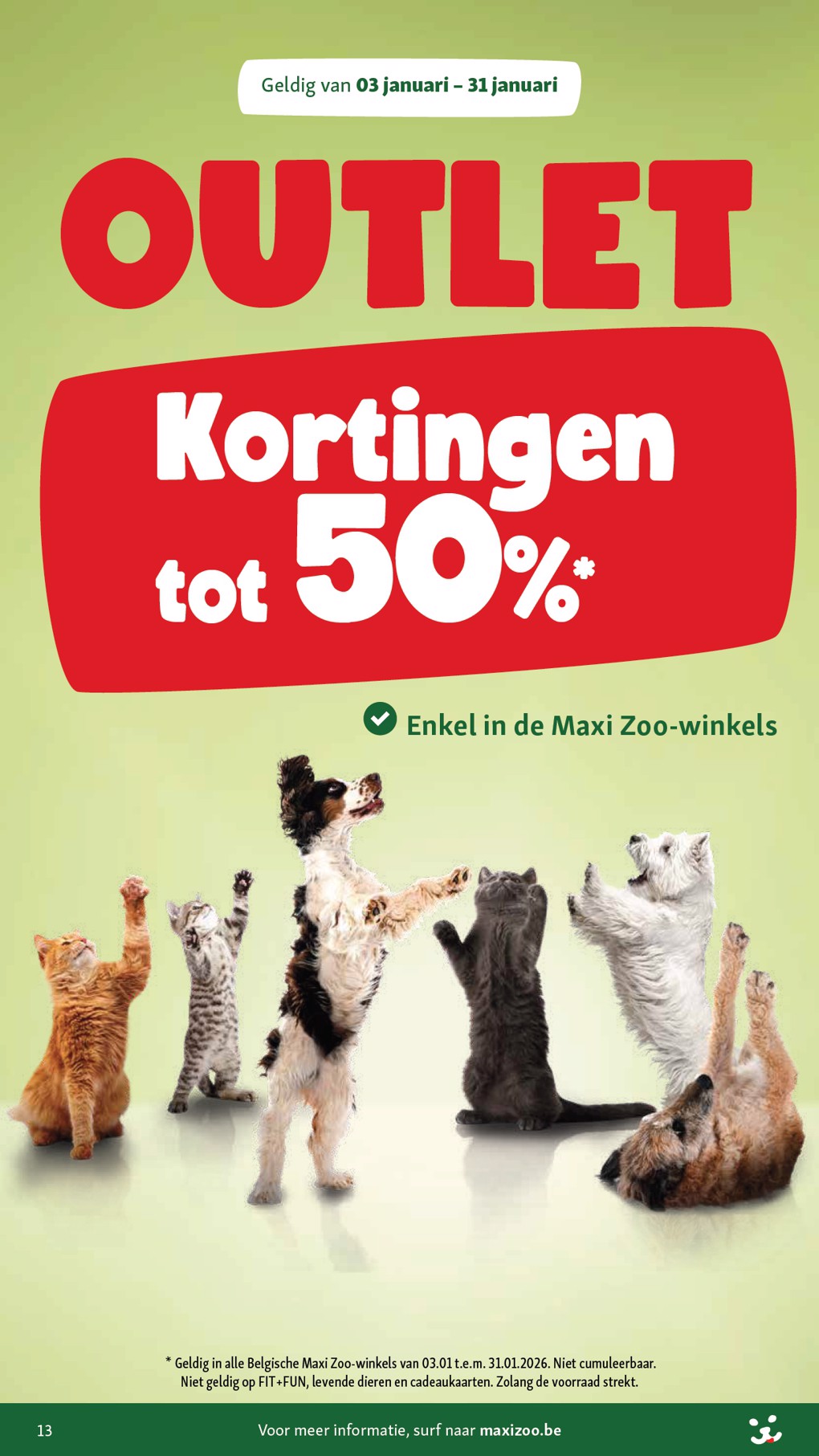 maxizoo - De Maxizoo folder geldig vanaf 07/01 t/m 03/02 - page: 13