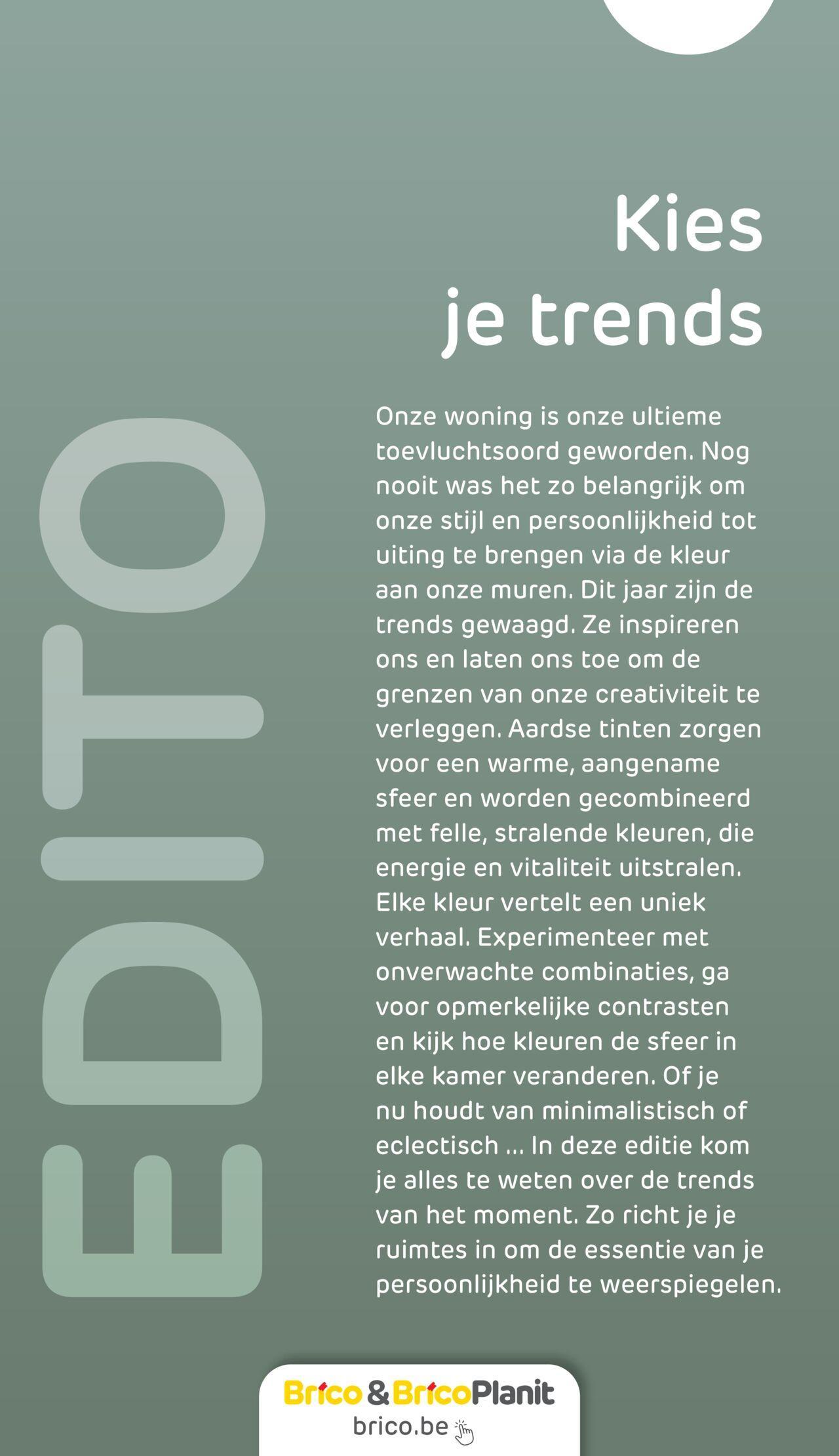 brico - Brico Verf magazine 2024 vanaf woensdag 08/05/2024 - page: 2