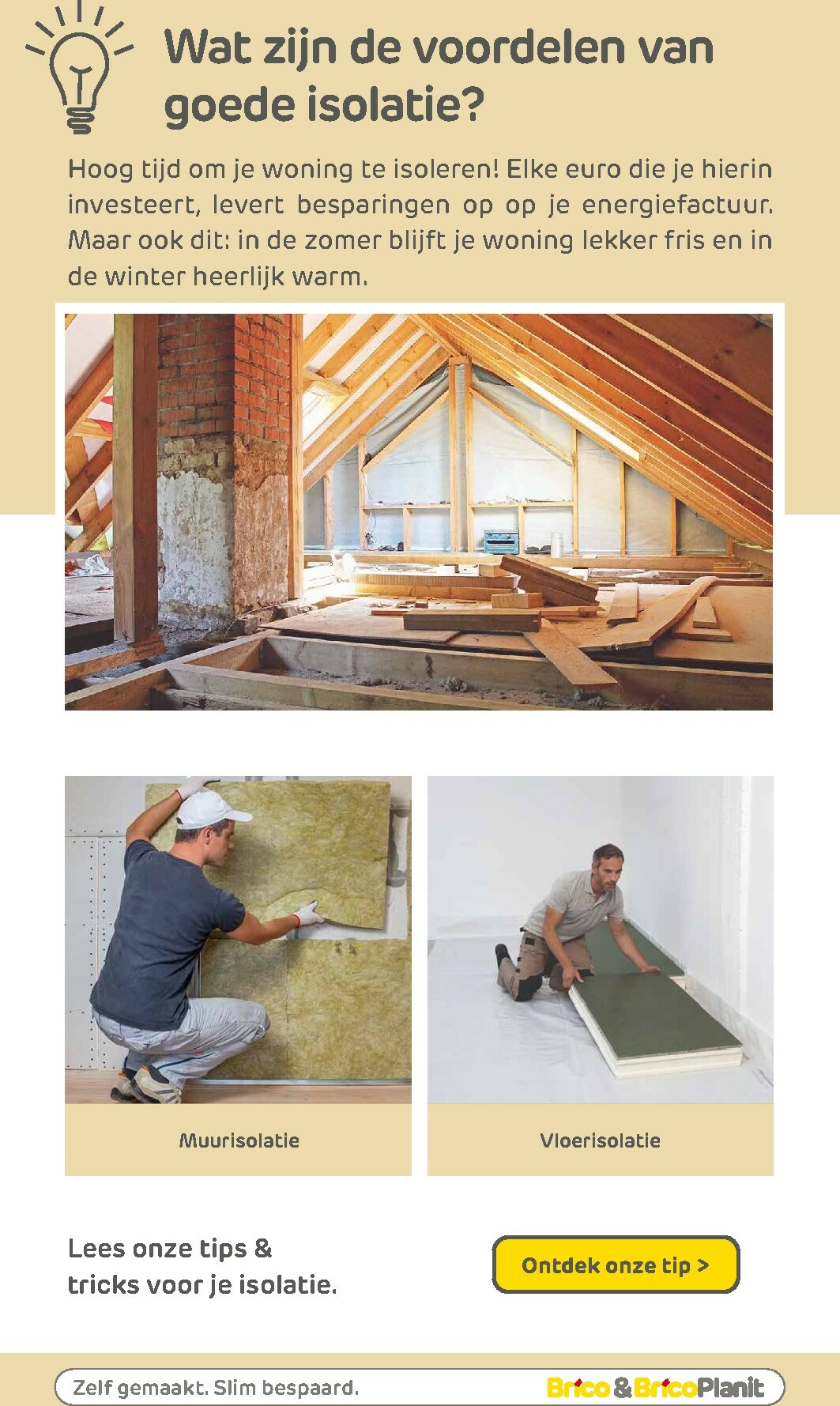 brico - De Brico folder geldig vanaf 28/01 t/m 08/02 - page: 33