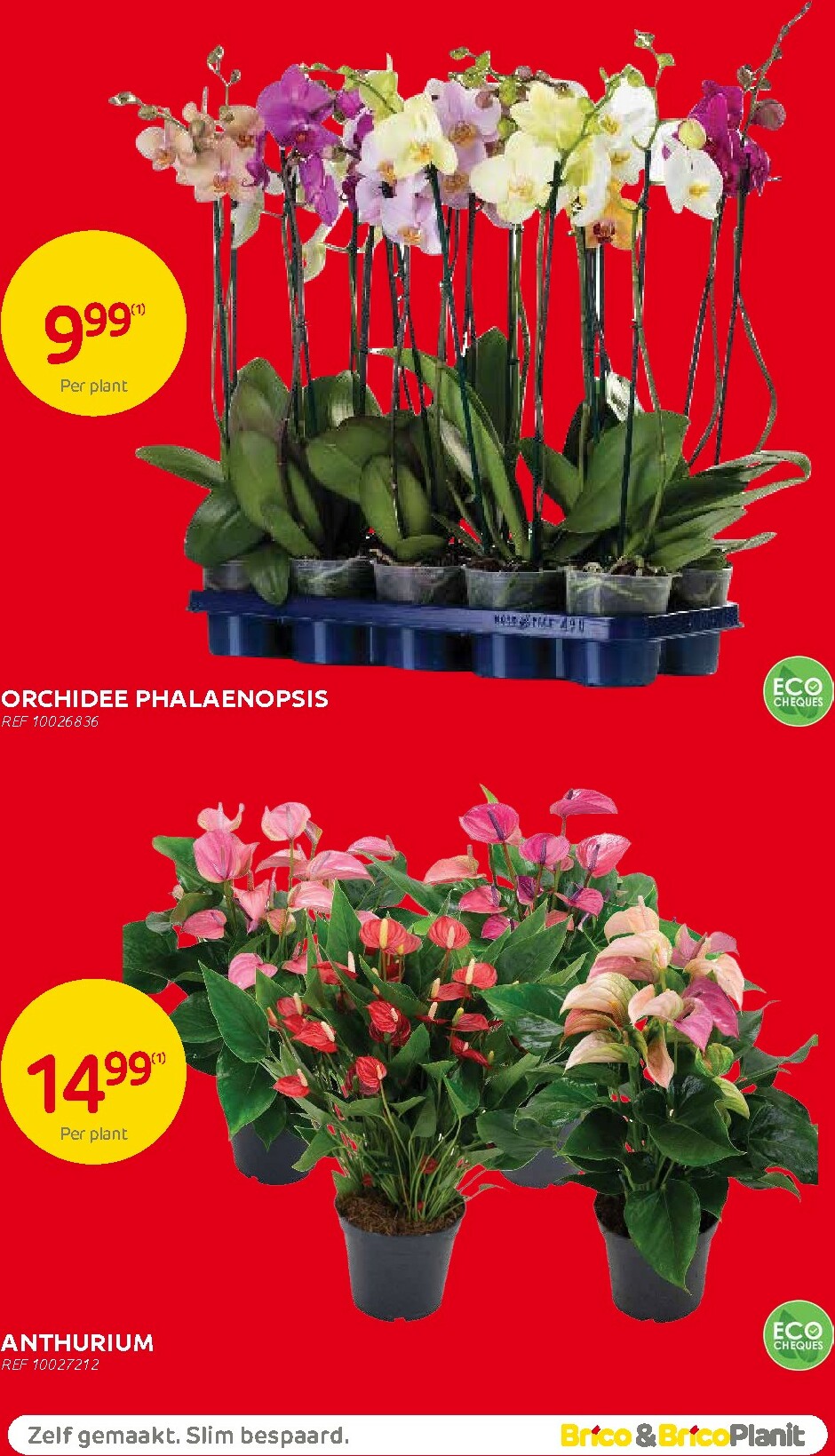 brico - De Brico folder geldig vanaf 11/02/2026 t/m 01/03/2026 - page: 60