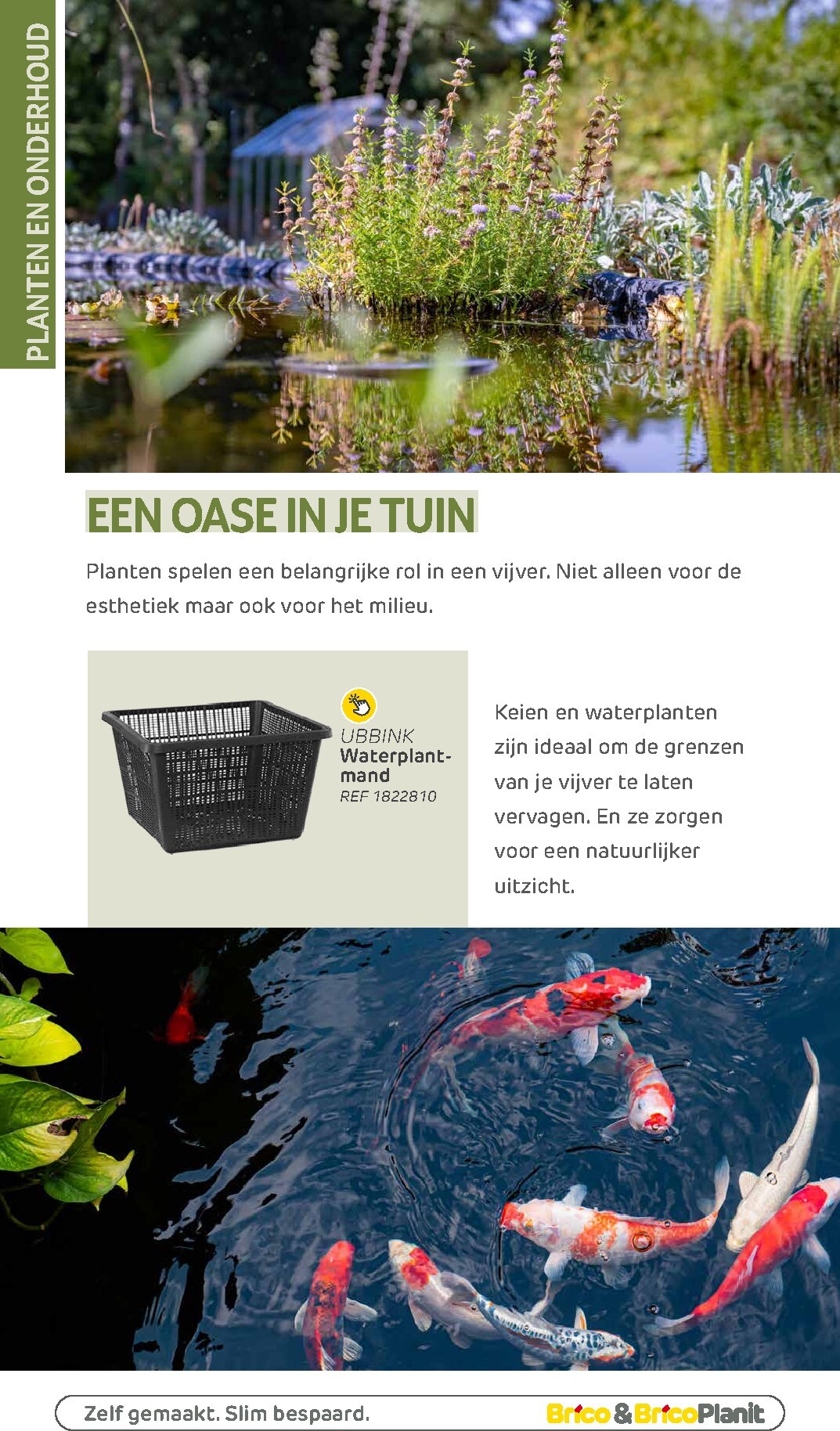 brico - De Brico - Tuin catalogus folder geldig vanaf 01/03/2026 t/m 31/12/2026 - page: 187