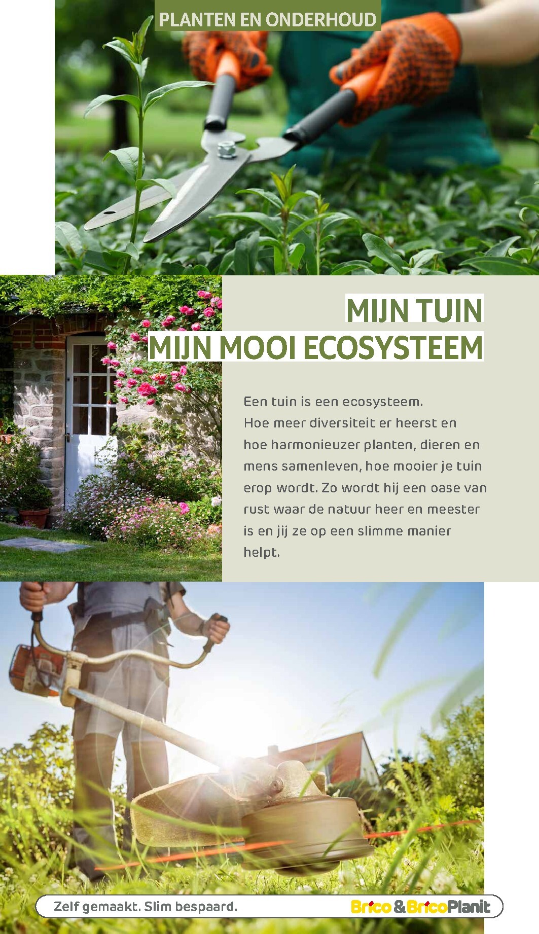 brico - De Brico - Tuin catalogus folder geldig vanaf 01/03/2026 t/m 31/12/2026 - page: 103
