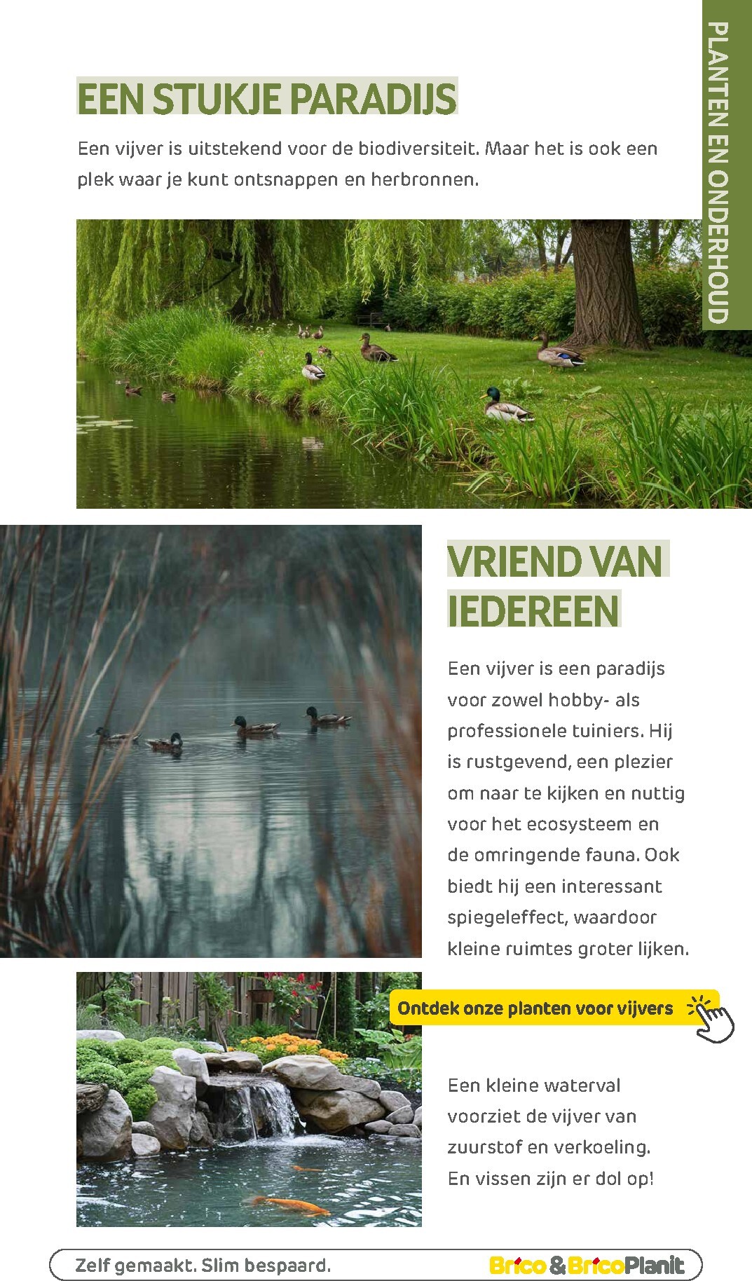 brico - De Brico - Tuin catalogus folder geldig vanaf 01/03/2026 t/m 31/12/2026 - page: 184