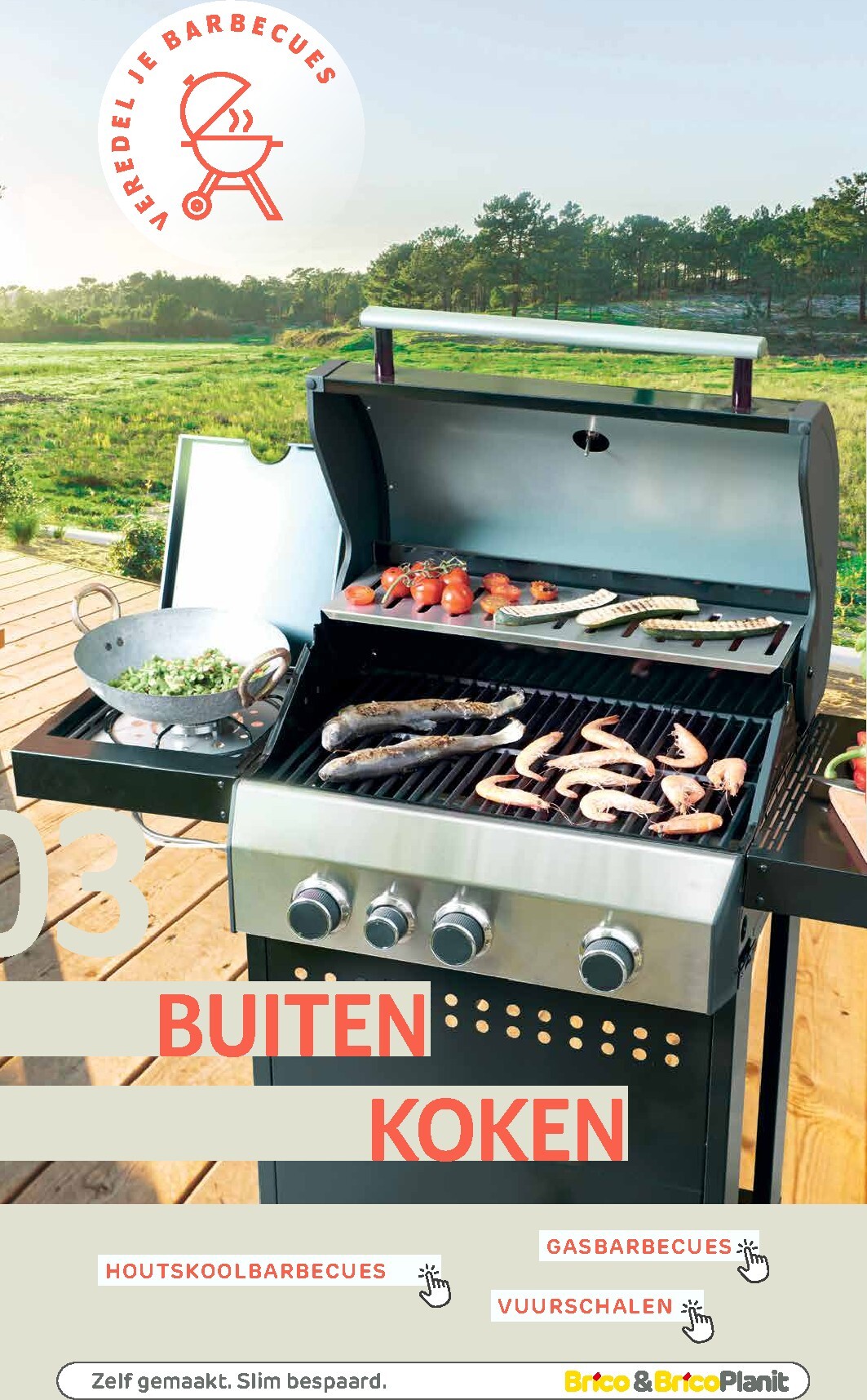 brico - De Brico - Tuin catalogus folder geldig vanaf 01/03/2026 t/m 31/12/2026 - page: 64