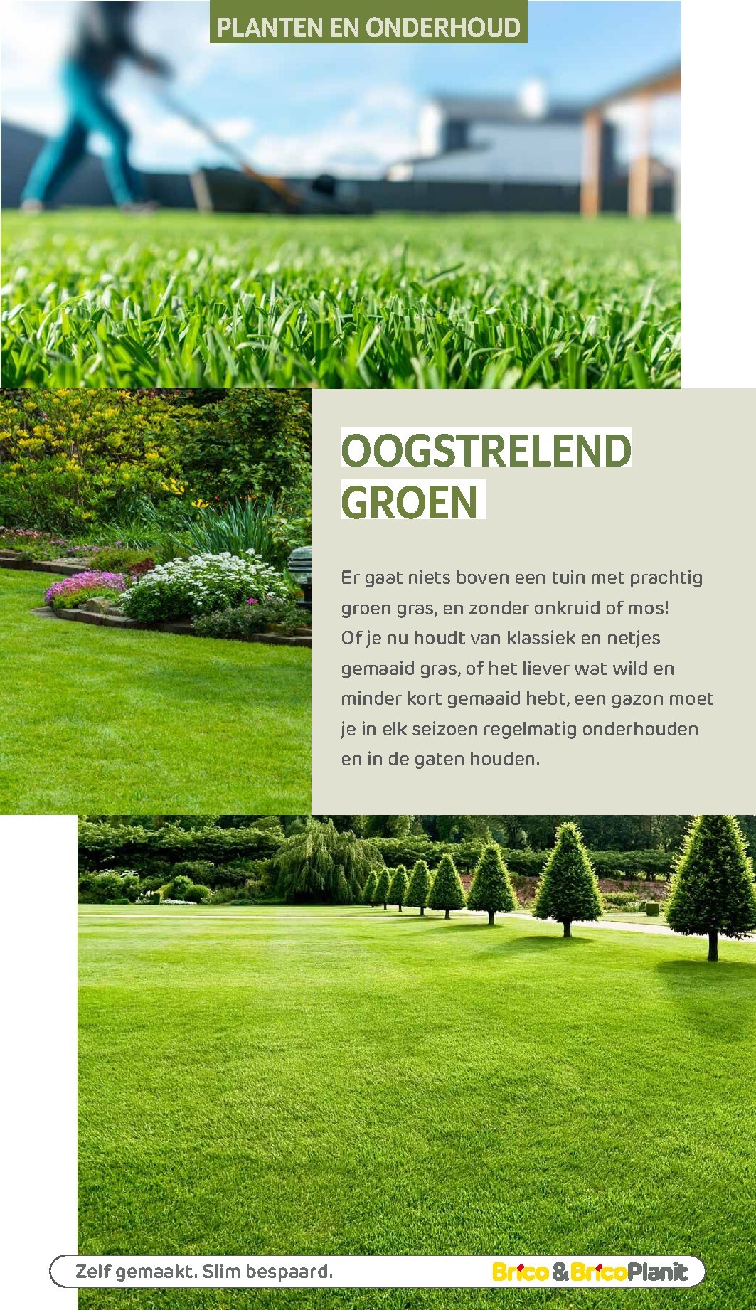 brico - De Brico - Tuin catalogus folder geldig vanaf 01/03/2026 t/m 31/12/2026 - page: 162