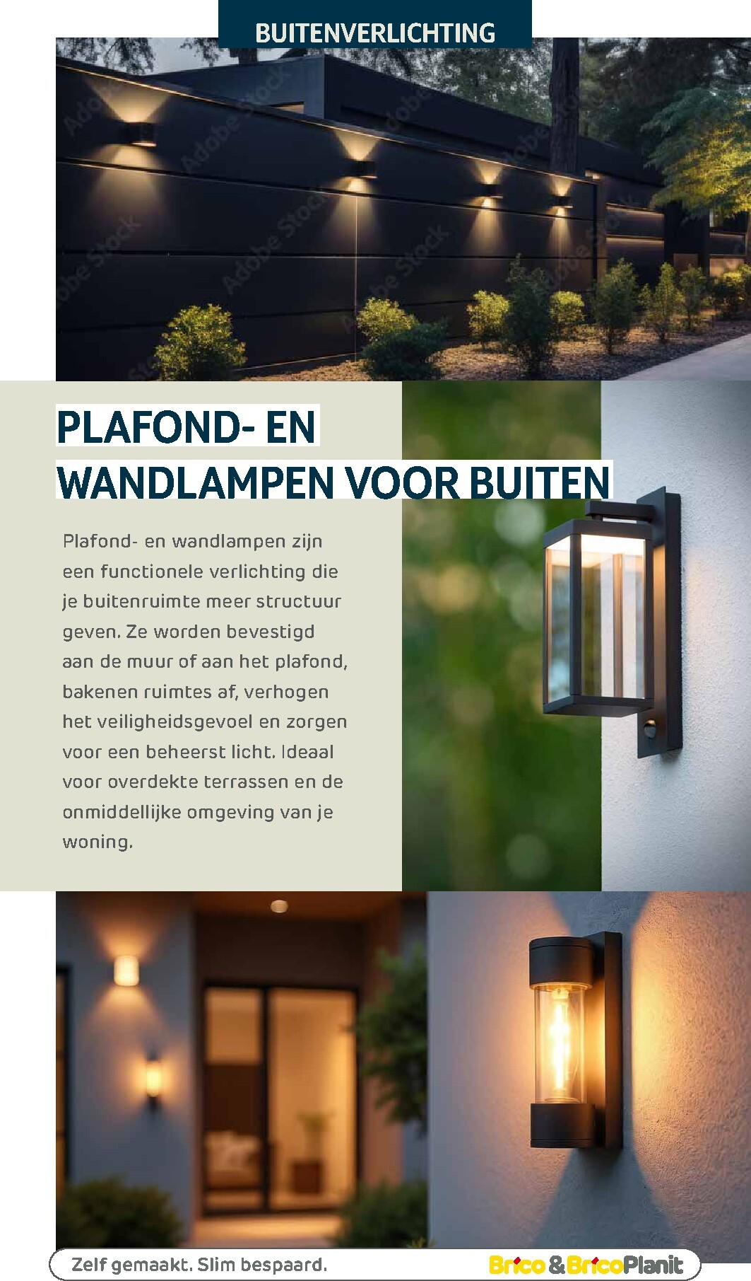 brico - De Brico - Tuin catalogus folder geldig vanaf 01/03/2026 t/m 31/12/2026 - page: 265