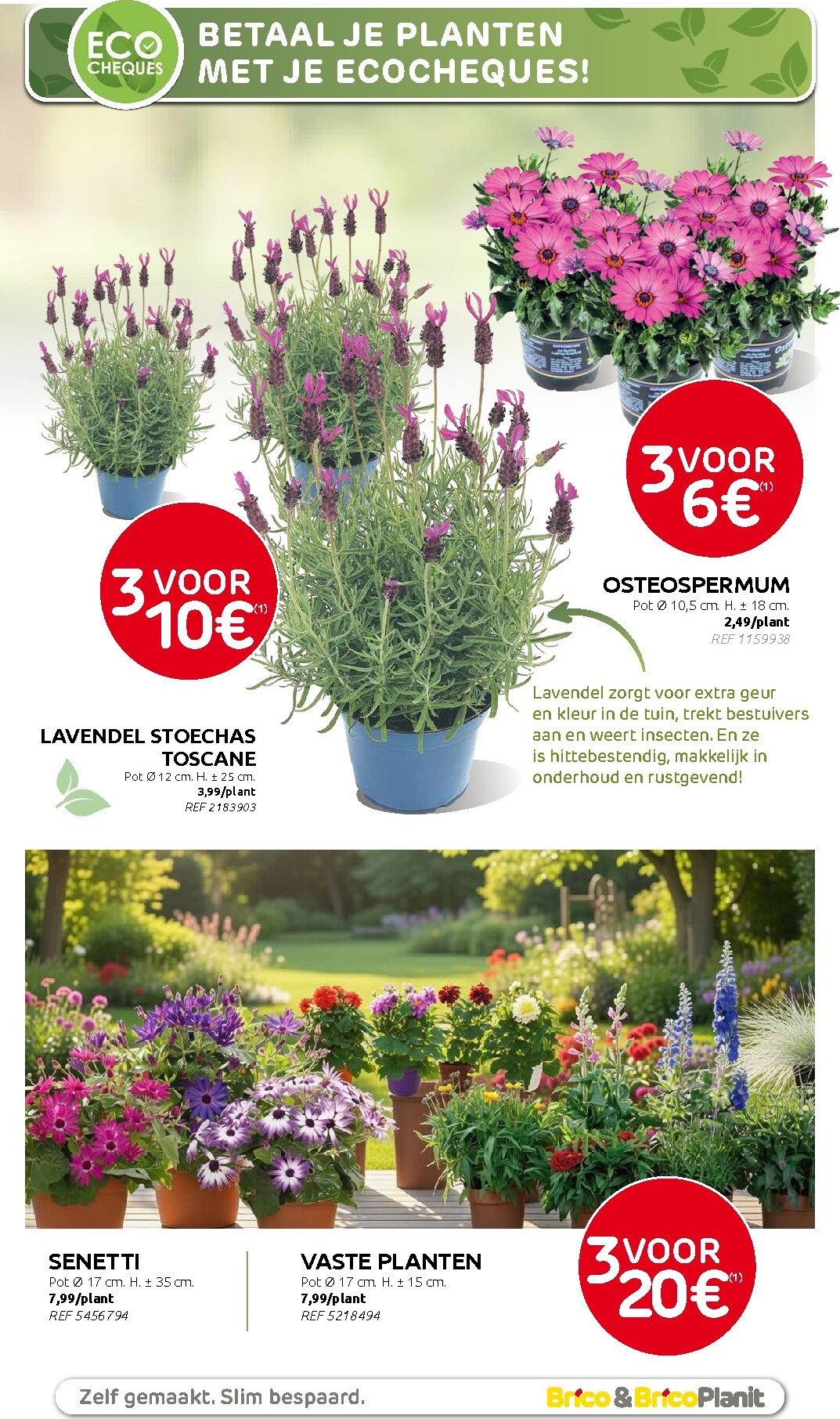 brico - Huidige Brico - Plantjesmarkt folder geldig van woensdag 01/04/2026 tot zondag 31/05/2026 - page: 3