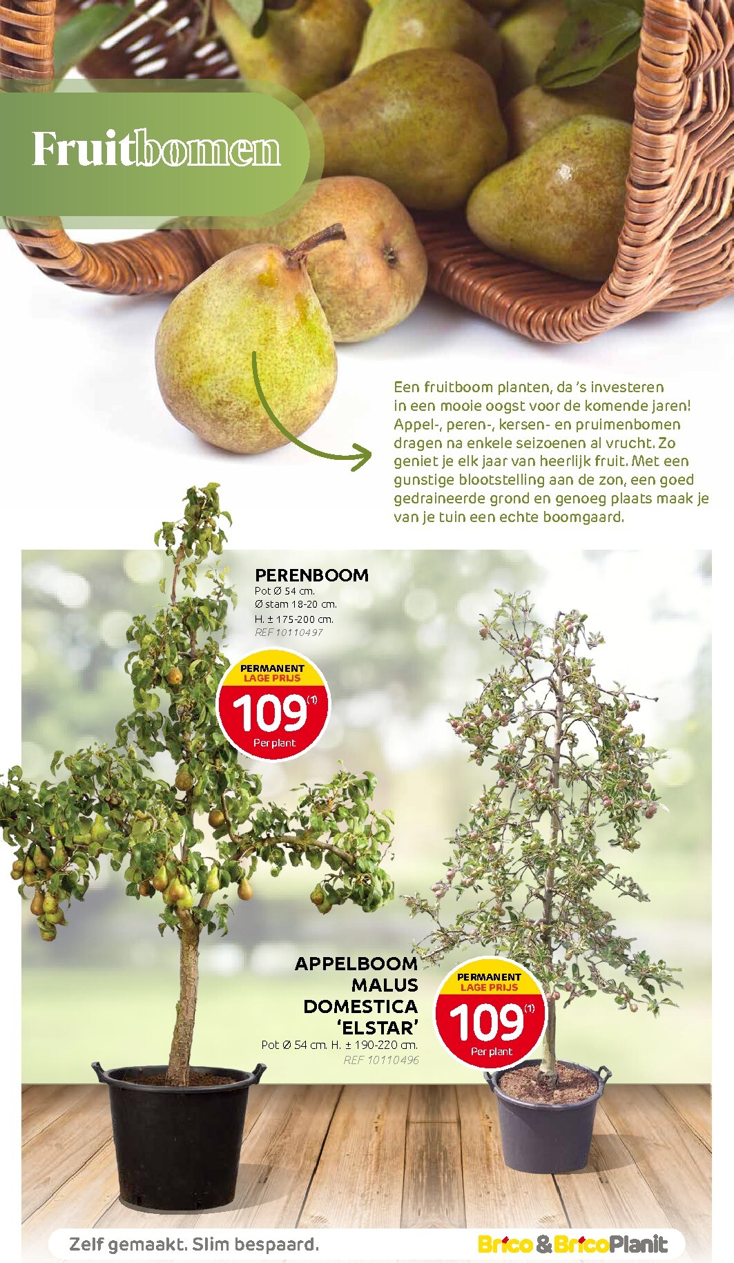 brico - Huidige Brico - Plantjesmarkt folder geldig van woensdag 01/04/2026 tot zondag 31/05/2026 - page: 14